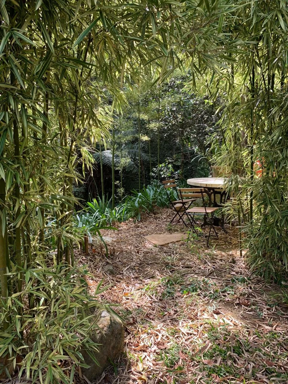 WhatsApp Image 2025-04-14 at 15.28.56.jpeg