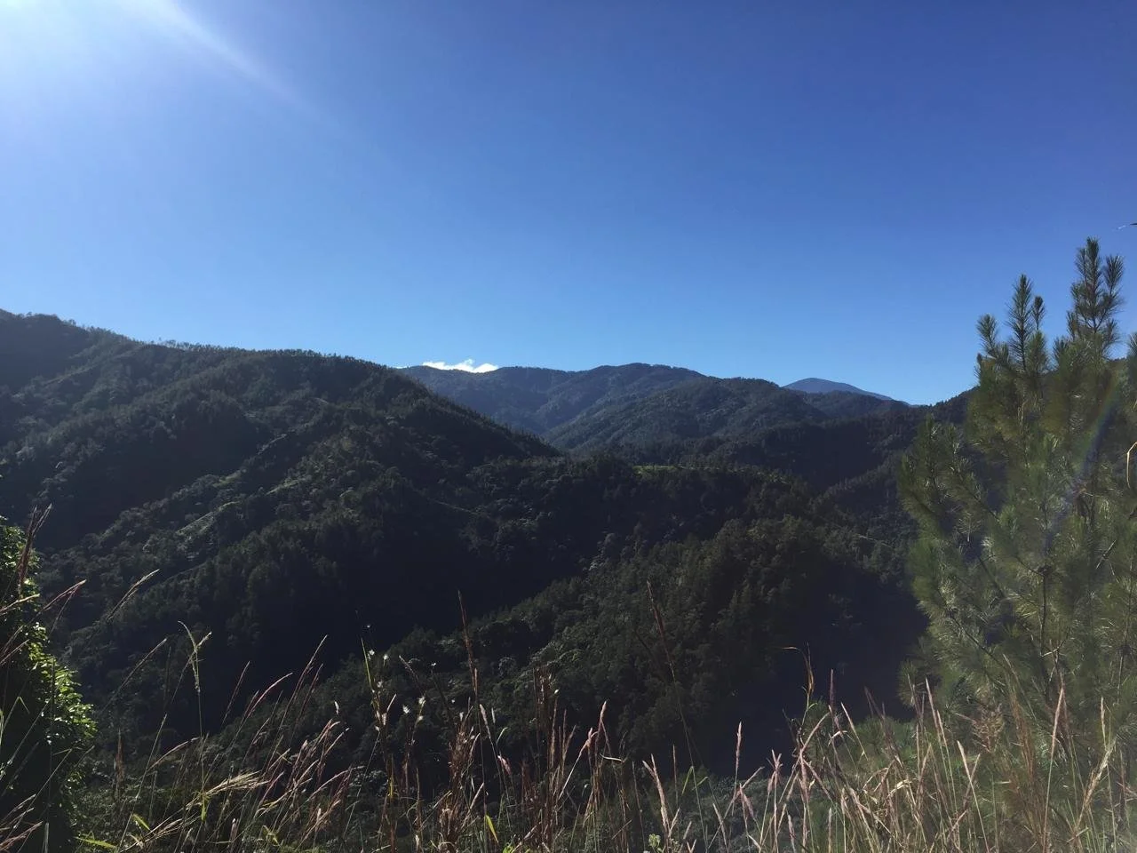 WhatsApp Image 2025-04-14 at 15.28.23.jpeg