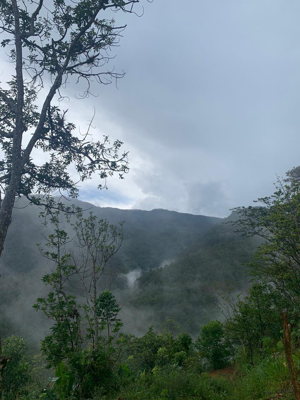 WhatsApp Image 2025-04-14 at 15.27.03.jpeg