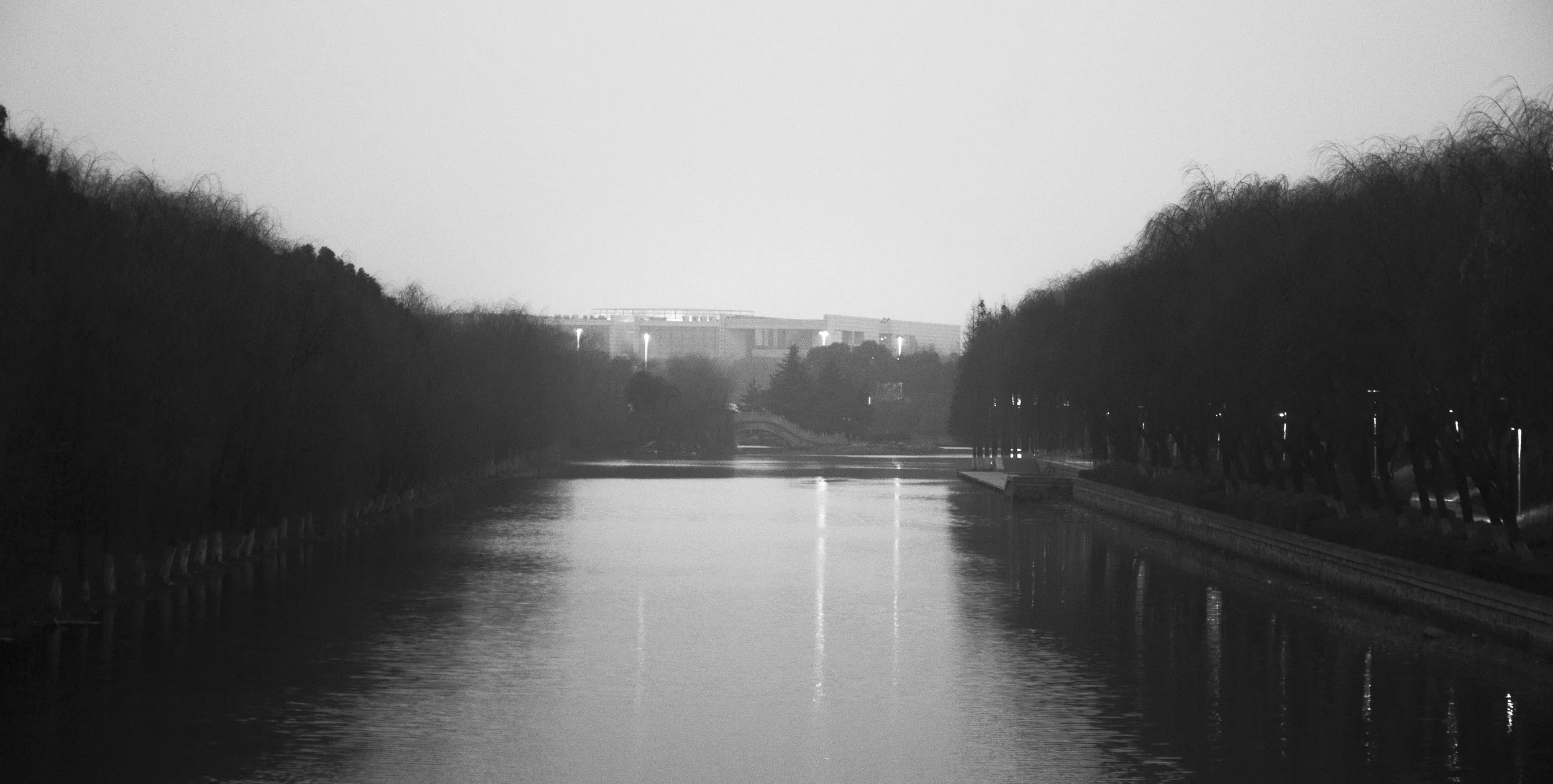 In the fog-2.jpg