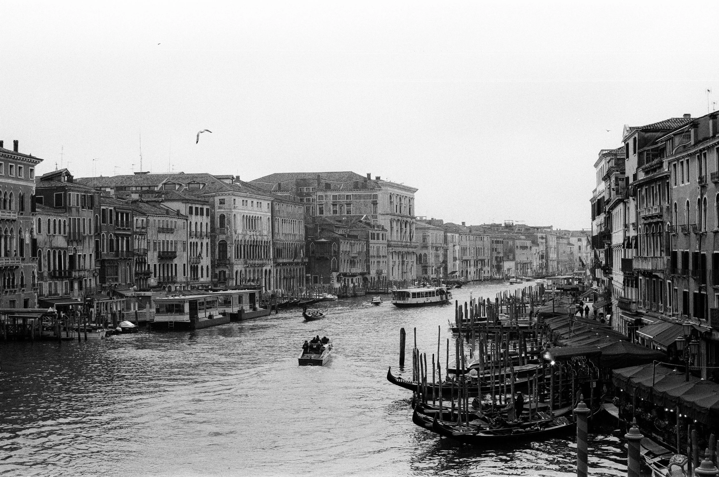 000034850002_Web (HD).jpg