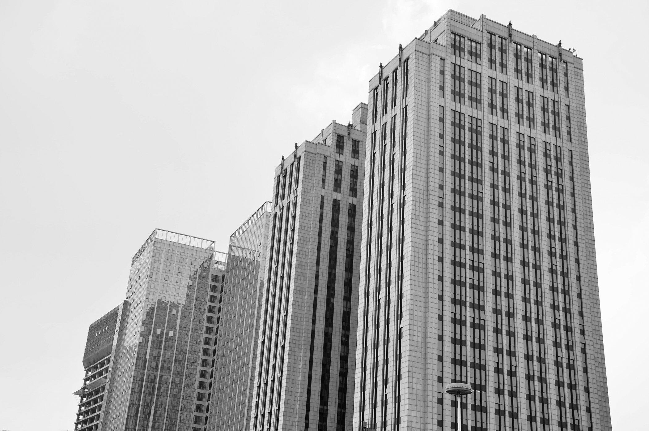 The city.jpg