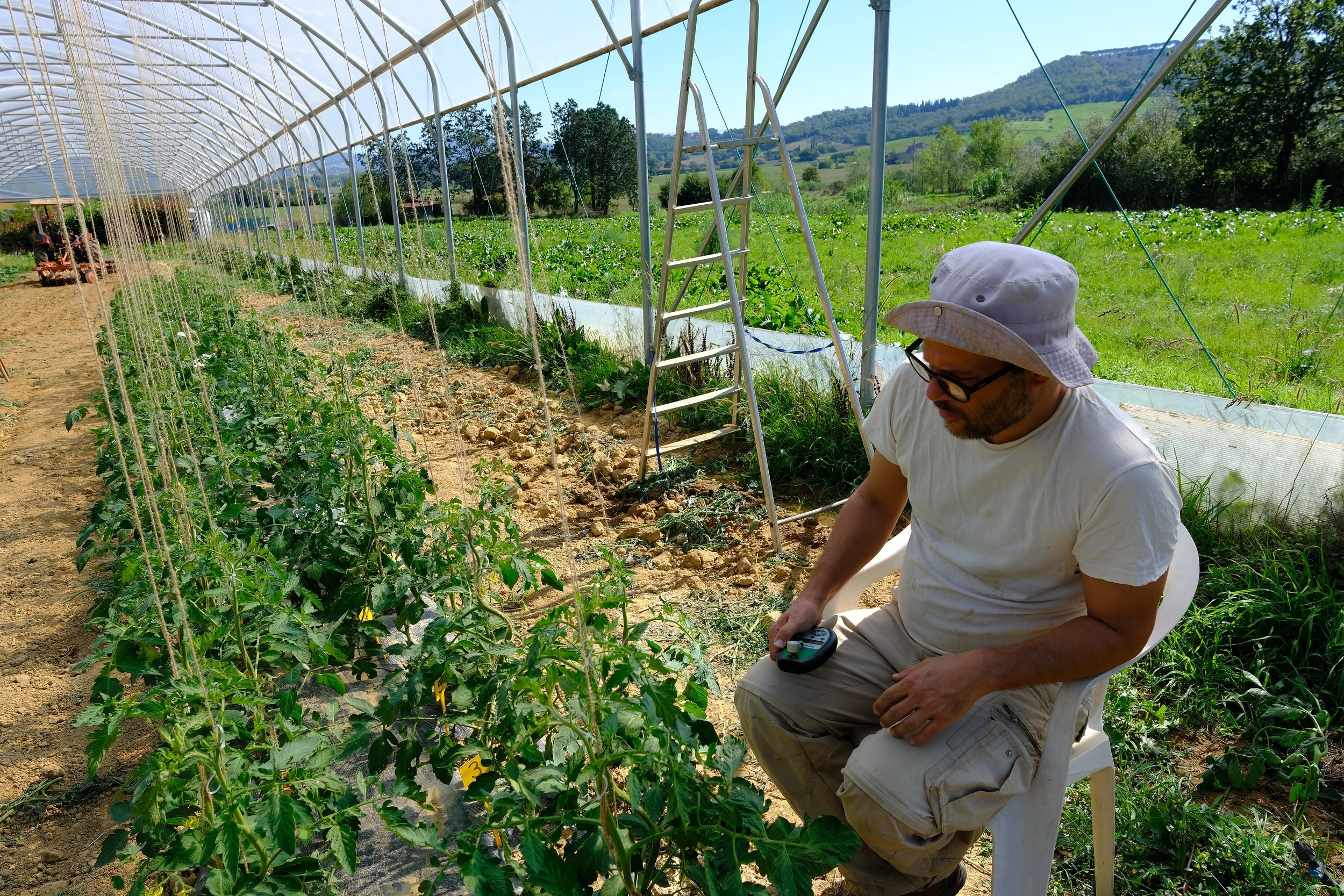 Oggi si conclude il progetto NANO.ORTOLAB