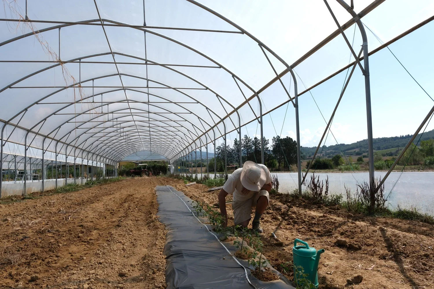 Progetto NANO.ORTOLAB – Seconda prova in campo