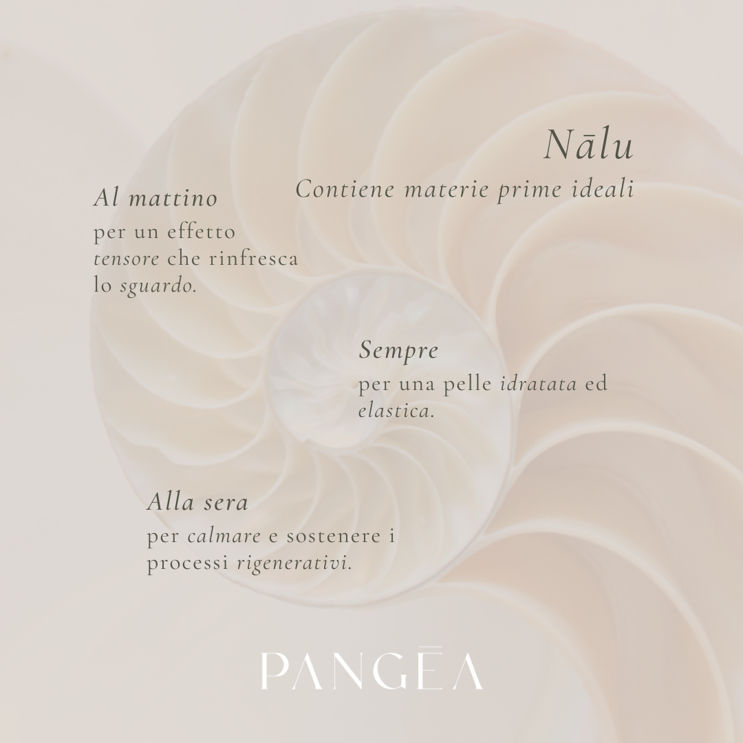 NEGOZIO SITO Nalu (15).png