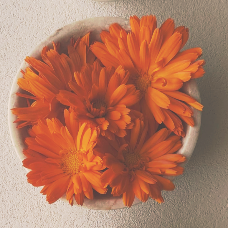 IMG_5744.png