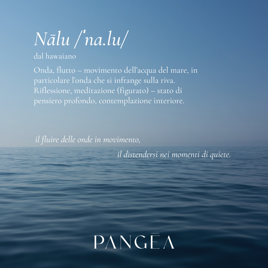 NEGOZIO SITO Nalu (14).png