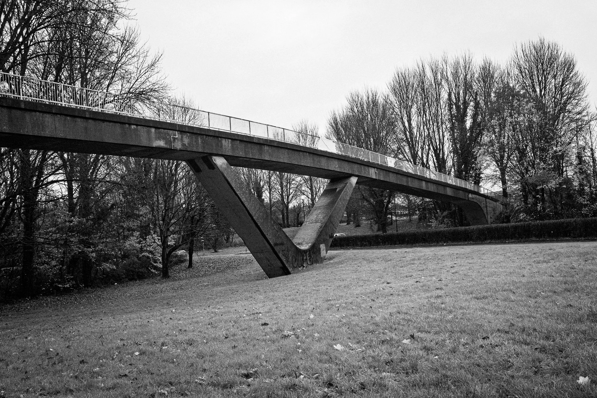 L1080700.jpg