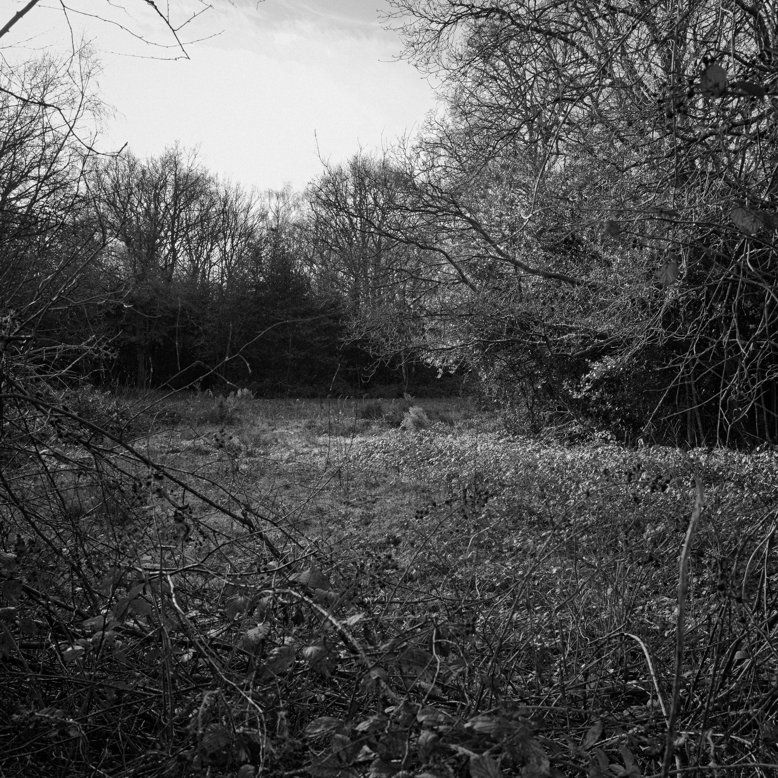 The Politics of the Places Nobody Watches