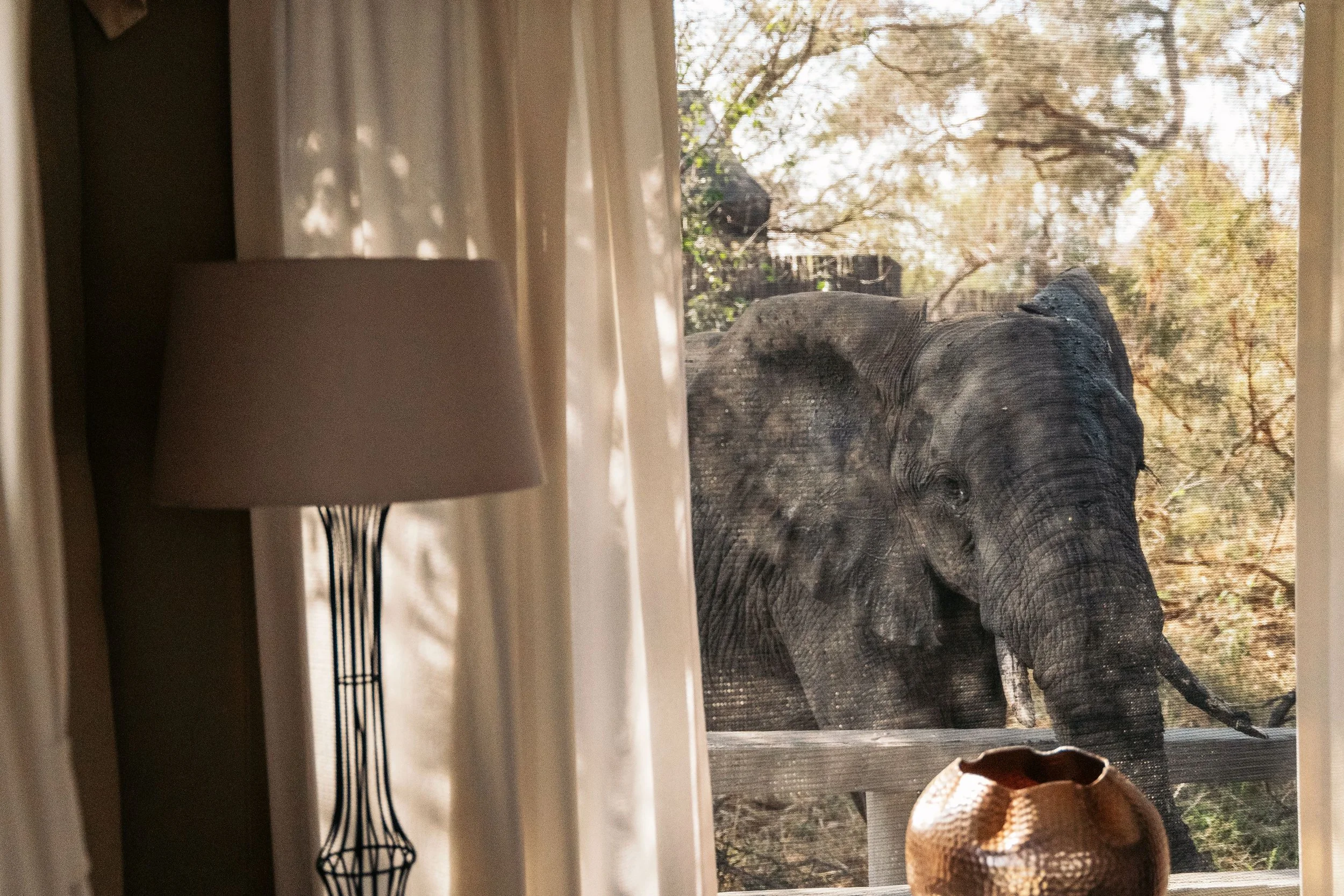 Simbavati River Lodge - Experiences 03.jpg