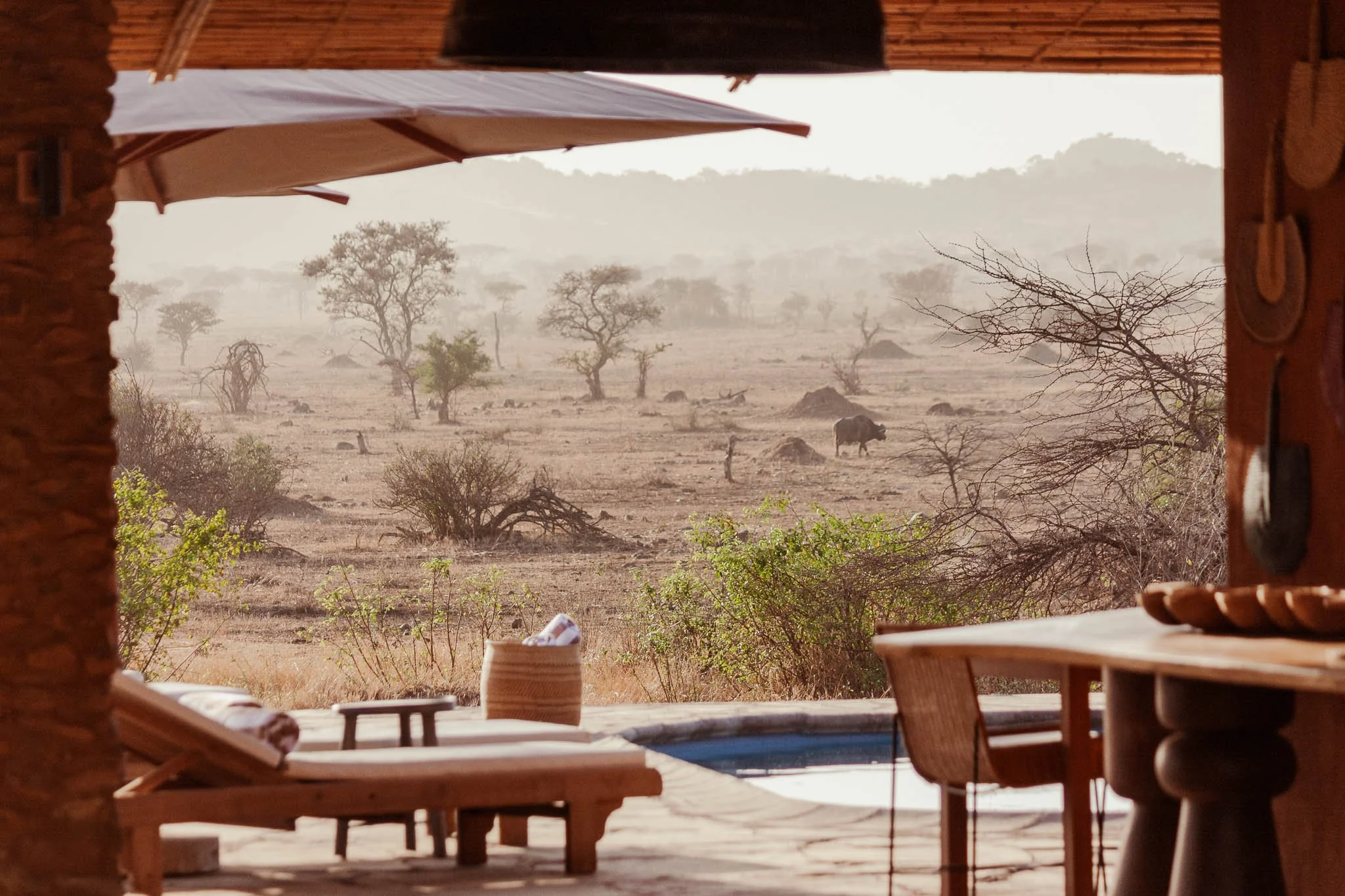 Simbavati Grumeti Pool View.jpg