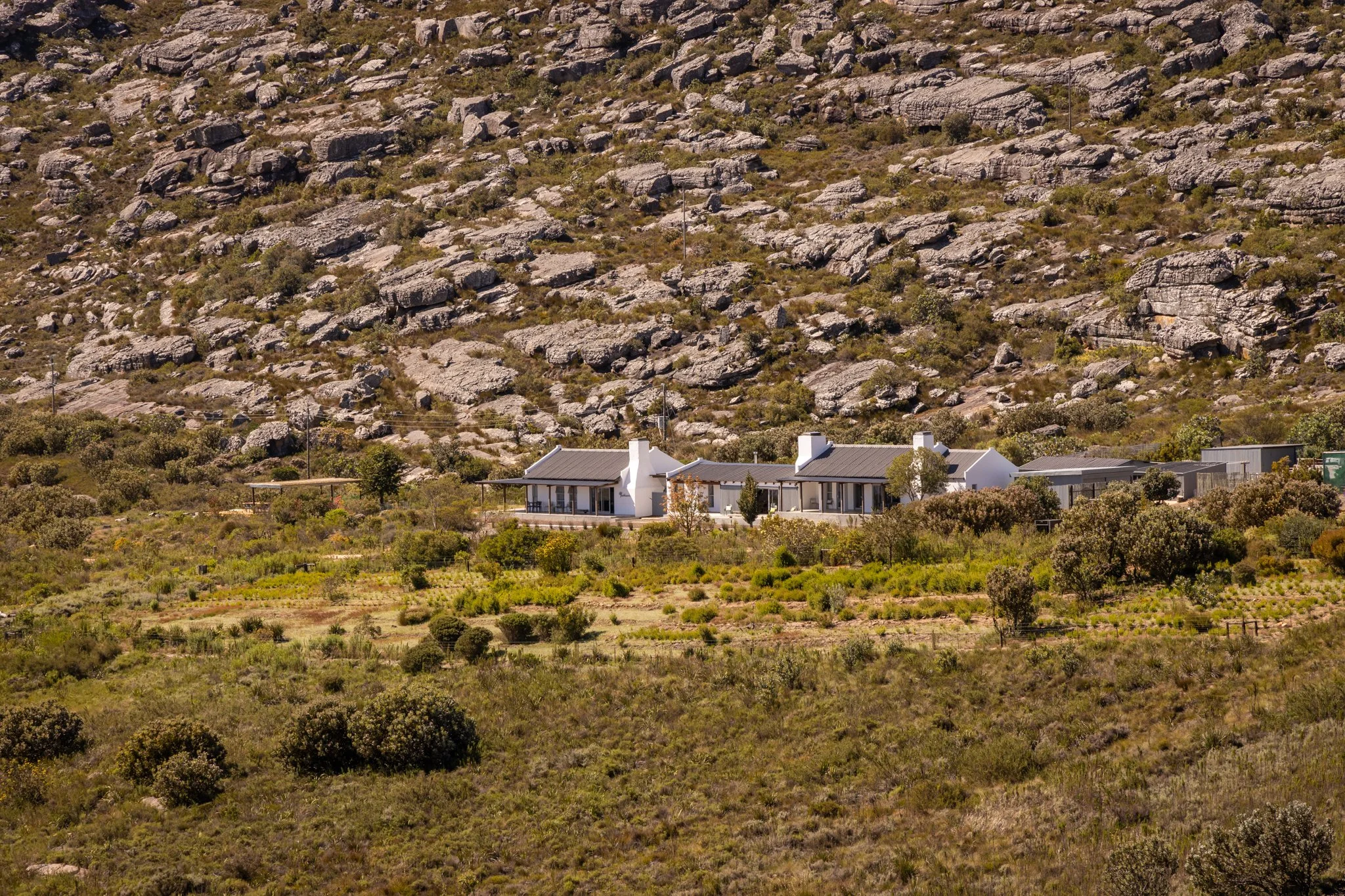 Potkook 2023 Preview-79.jpg