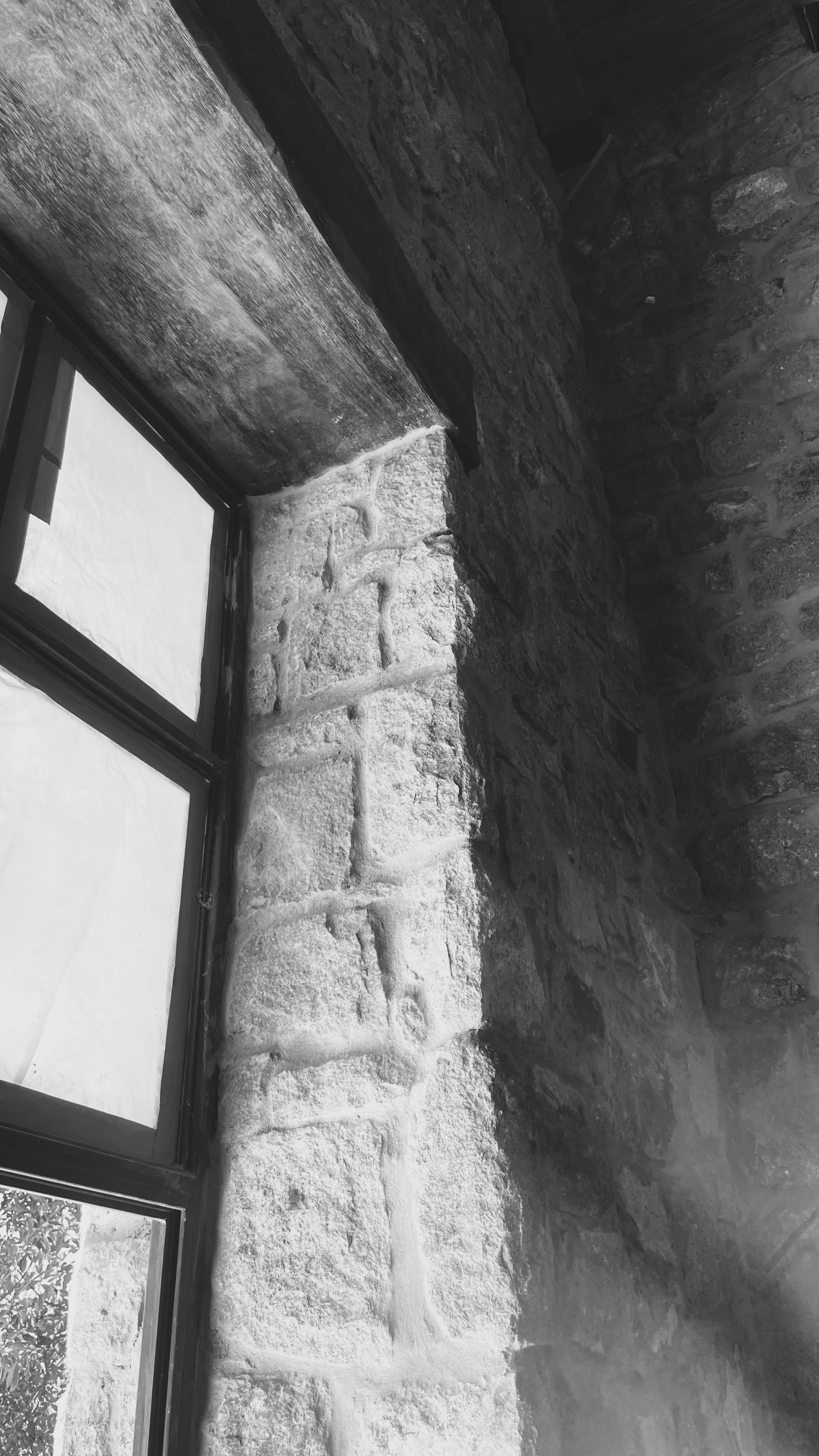 In Progress (1).jpeg