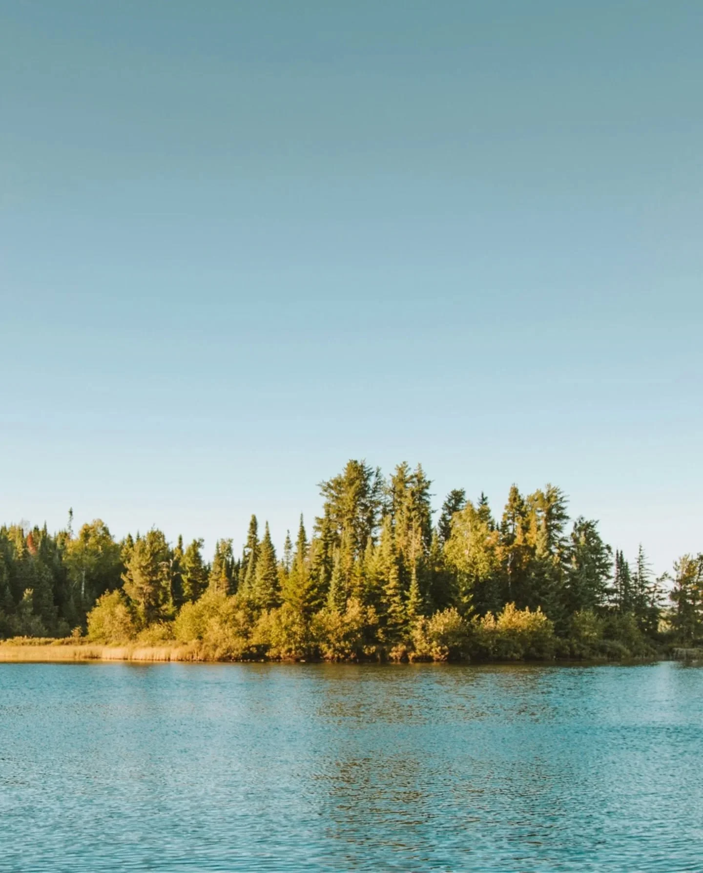 Despite the Canadian smoke, beach season in open in Mpls 💦 and pride 🌈 and life, in general 🐈&zwj;⬛