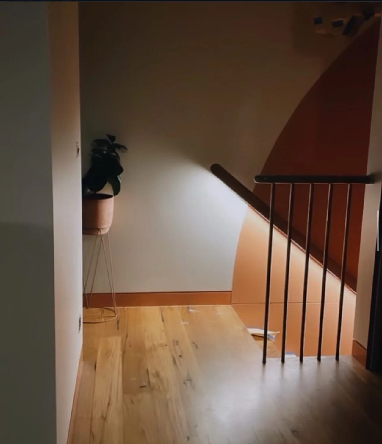 IMG_1338 David Santalucia.jpeg