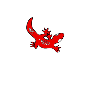 bunji australia sabi client 150.png