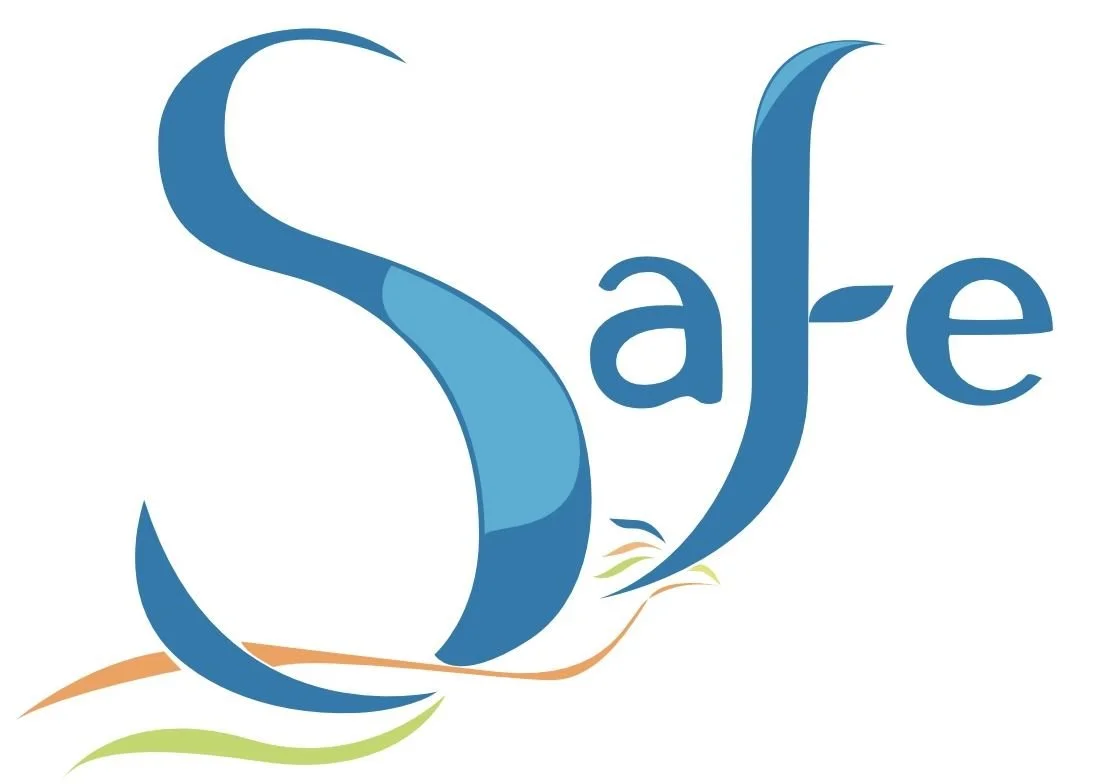 Société de Service d&#39;accompagnement Financier et d&#39;Expertise-comptable