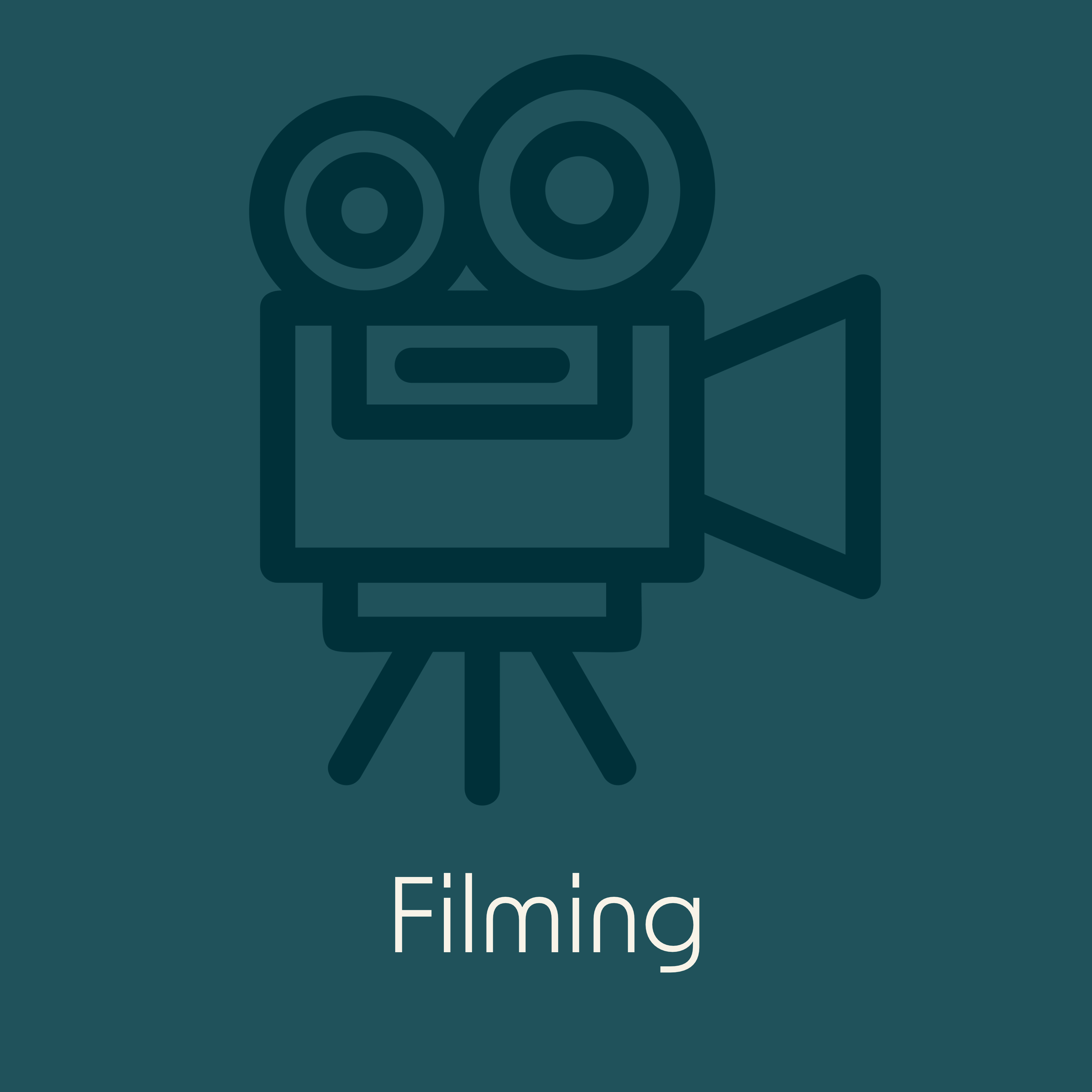 Copy of Documentary Filming.png