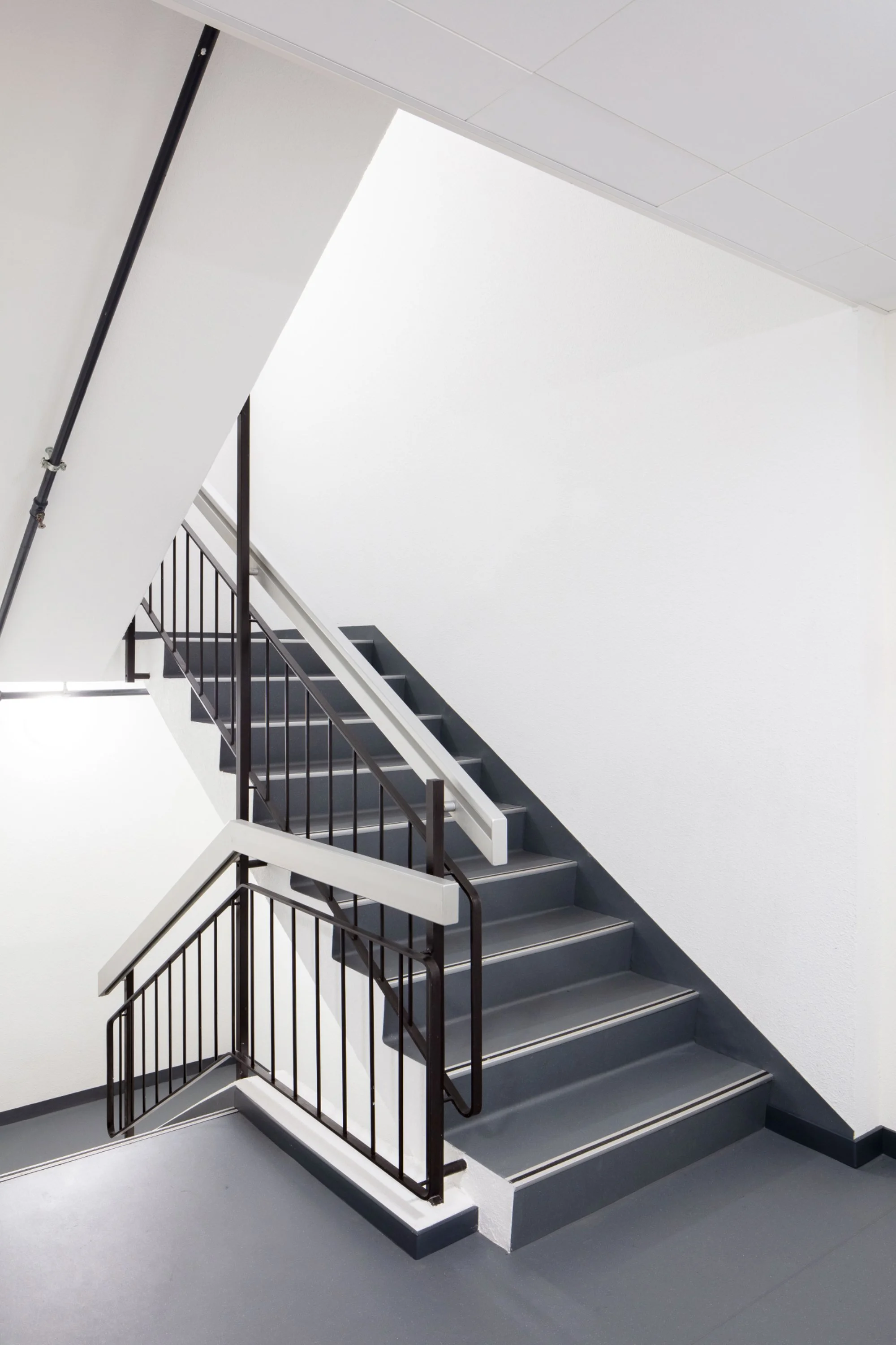 processed_JOR BAT light-4.jpeg