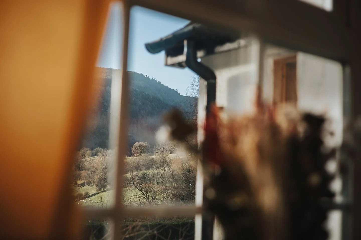 Once upon a time in Wales&hellip;

This year I&rsquo;m dreaming of deeply immersive imagery. Photo and video that makes the audience a part of the story. 

Right there, in it.

(Image: The valleys of Aberllefenni during our Christmas celebration)