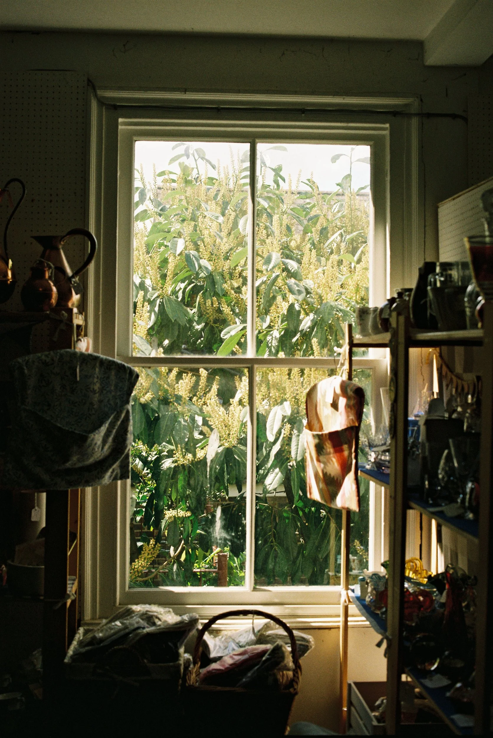 R1-09342-002A.png
