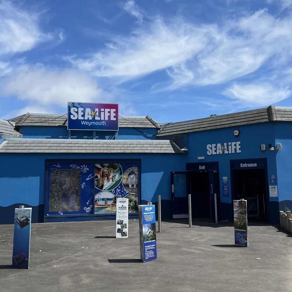 SEA LIFE - best paid visitor attraction in Weymouth