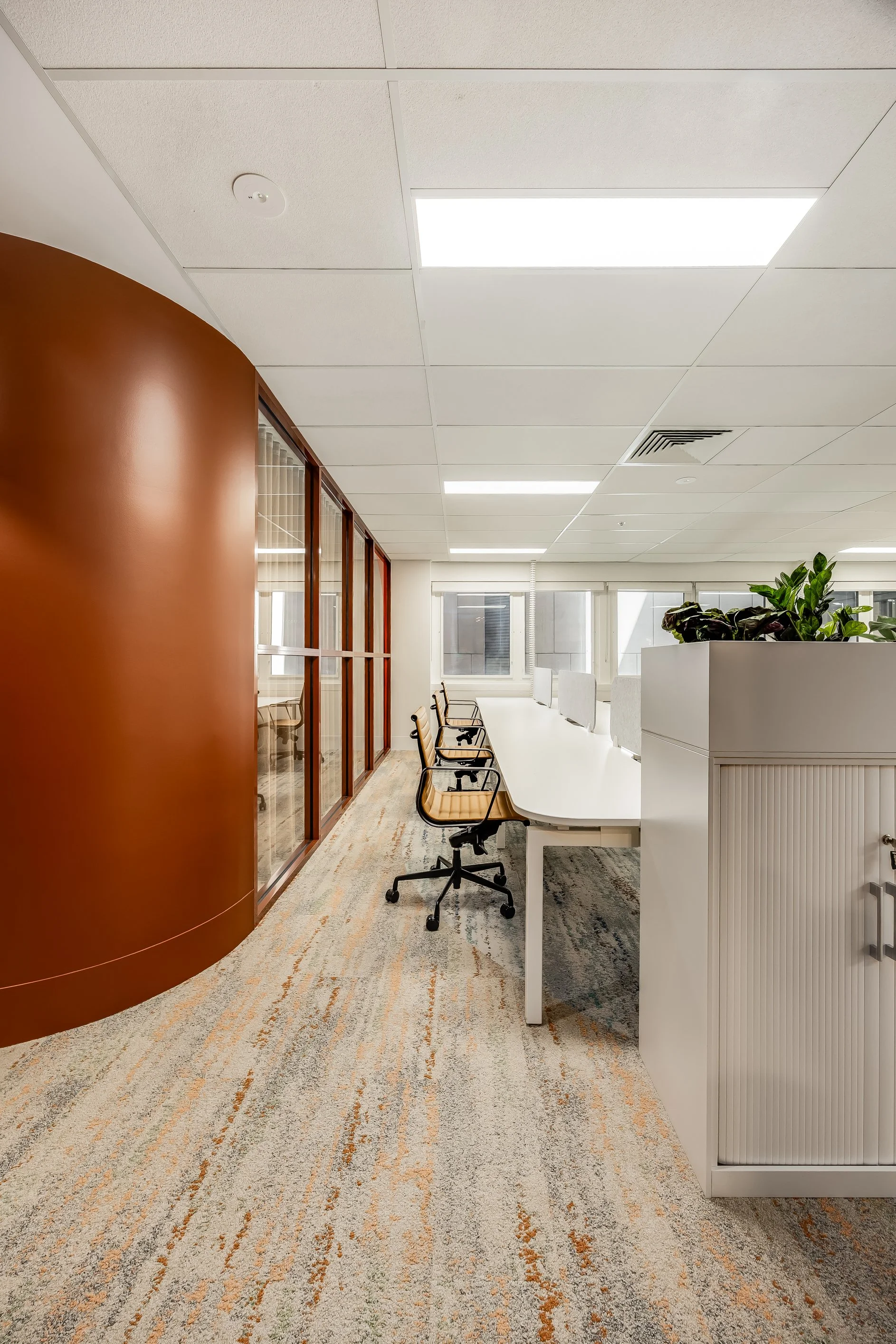 Fora - Grenfell St-13.jpg