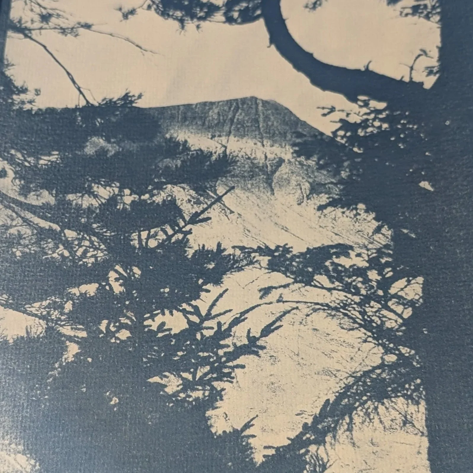 PXL_20240925_194025950.MP.jpg