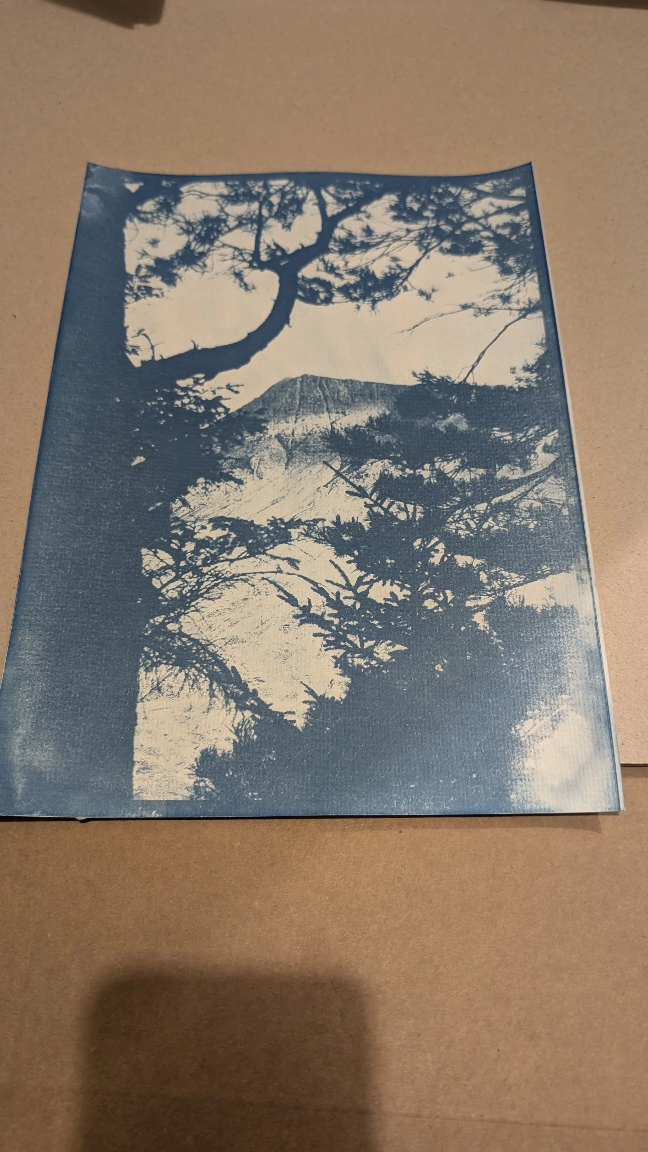 CONDUiT - Worth: Imaging The River, Eco friendly and Mindful approaches In Photography At Damems Nature Reserve, Keighley