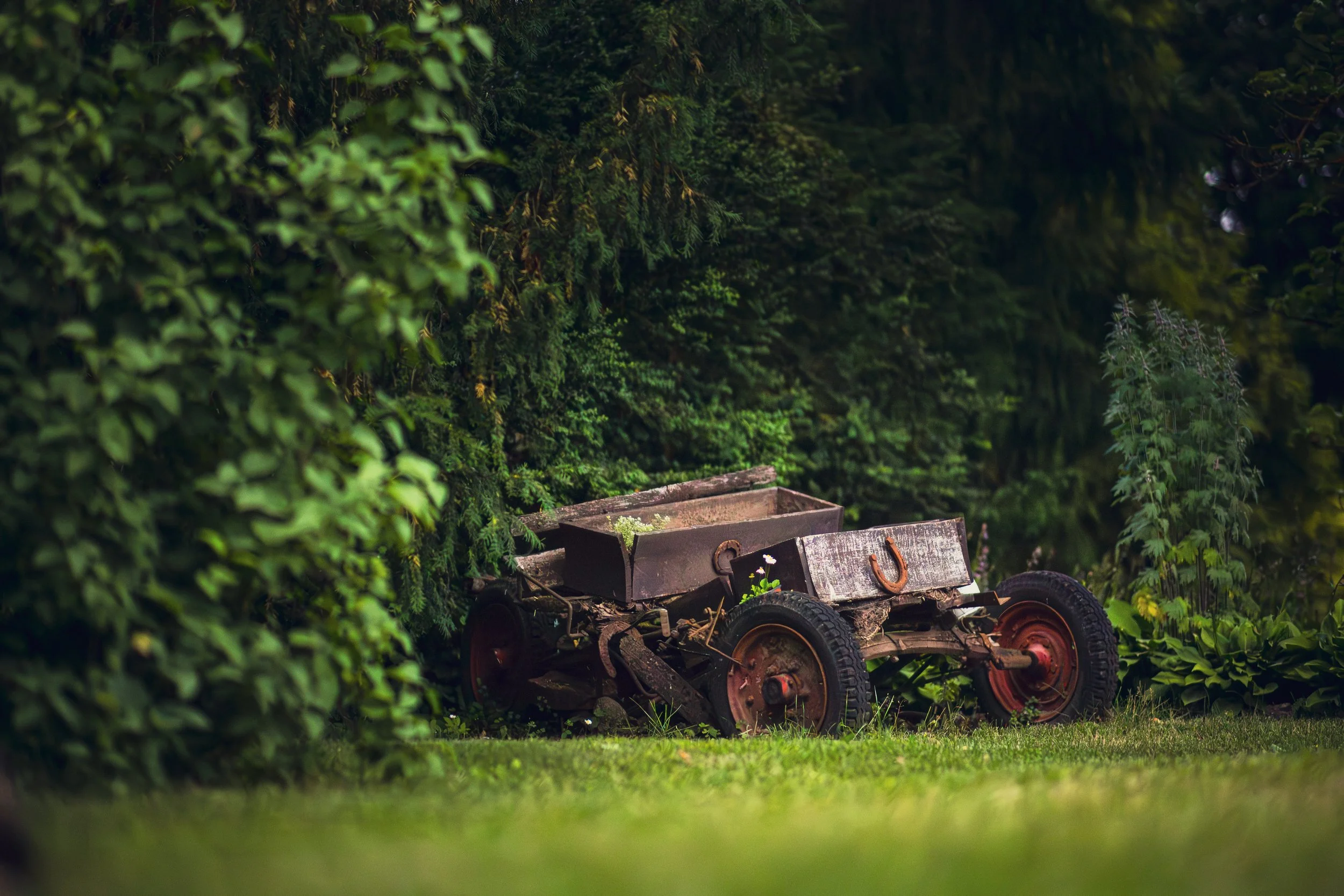 An old, rusty toy wagon with no wheels, partially overgrown with moss, resting on a lawn surrounded by lush greenery and bushes.