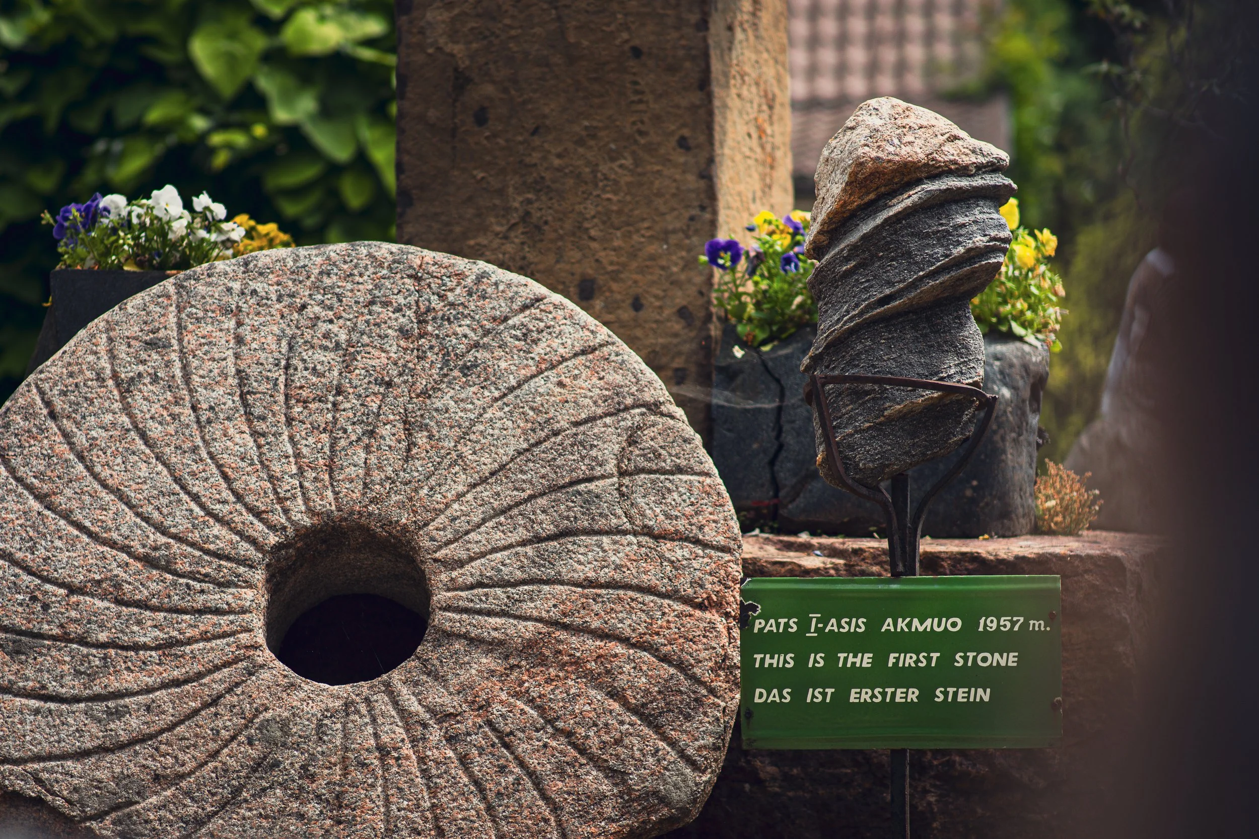 girnapusė Vaclovo Into sodyboje