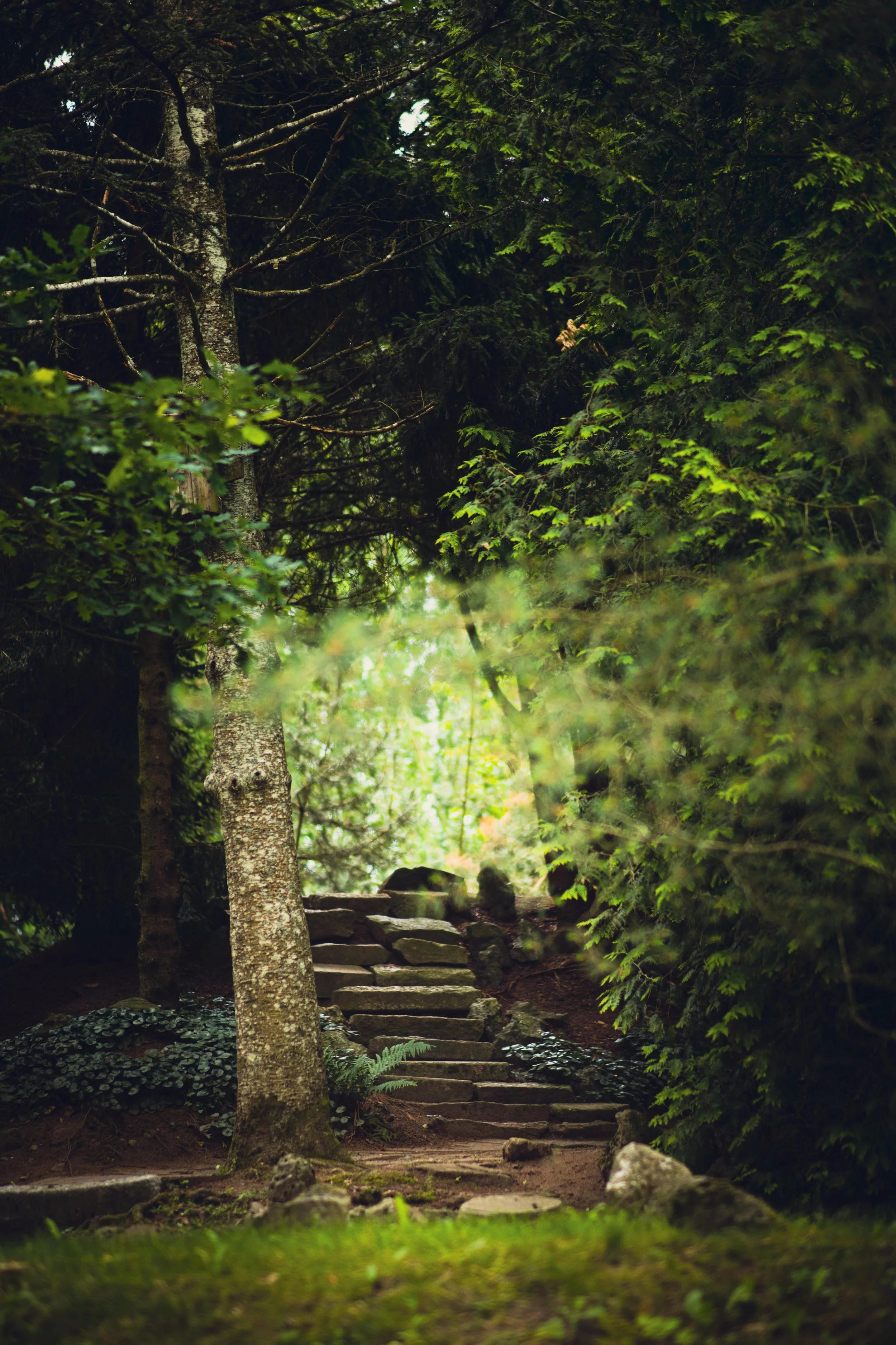 Vaclovo Into sodyba, nuotrauka "Vytautas Želnys"