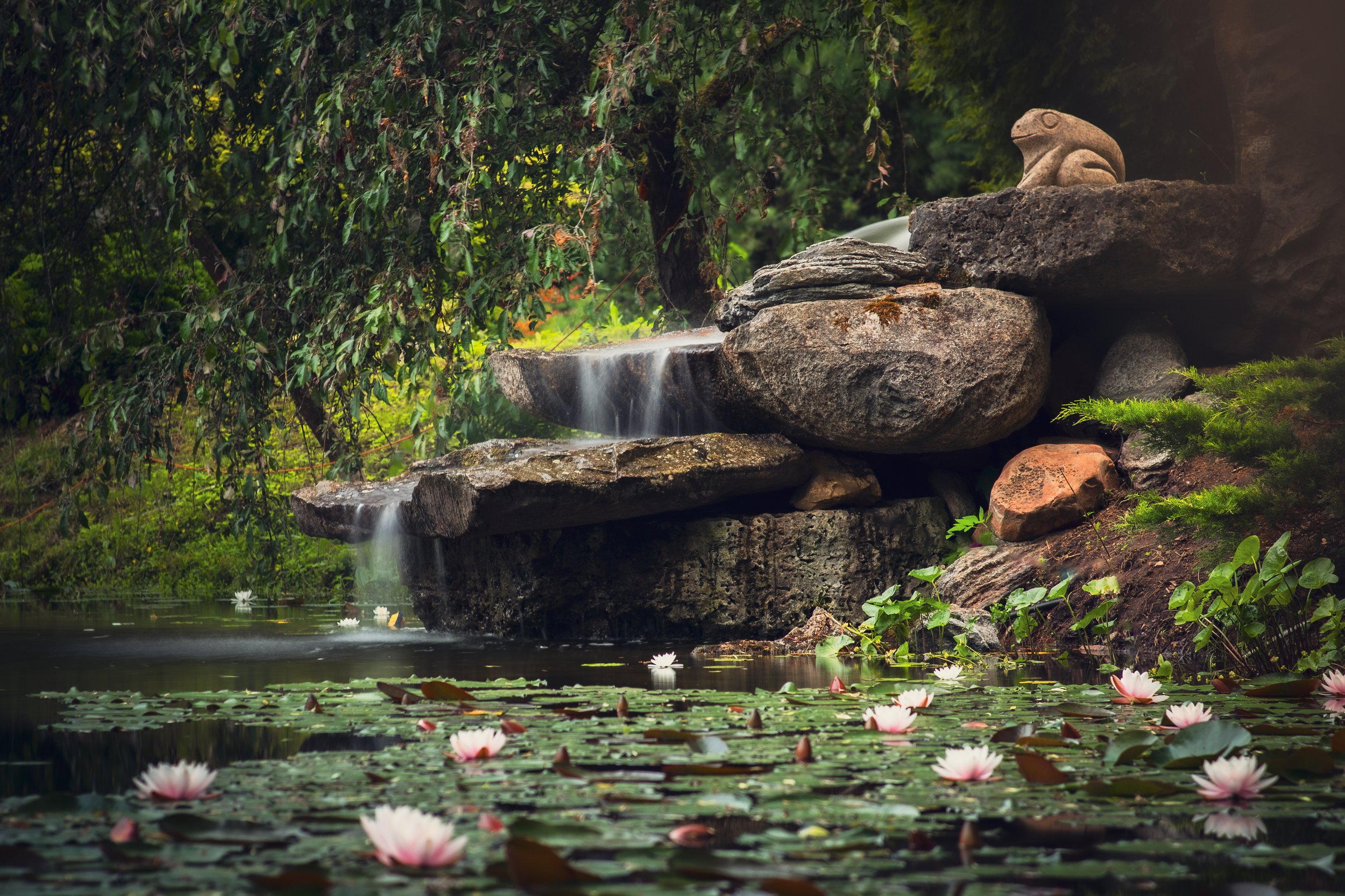 Vaclovo Into sodybos augmenija – laukinė, gyvybinga ir kviečianti sustoti