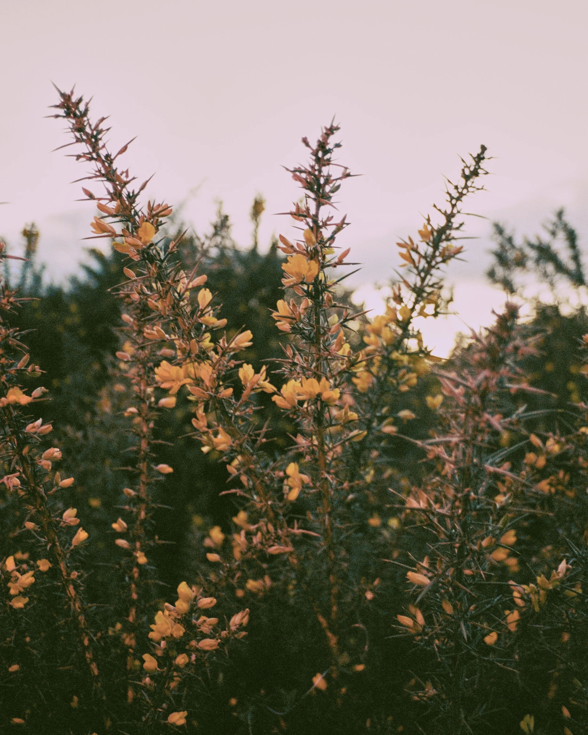 BOURNEMOUTH BIKE SHOOT_868918570025.jpg