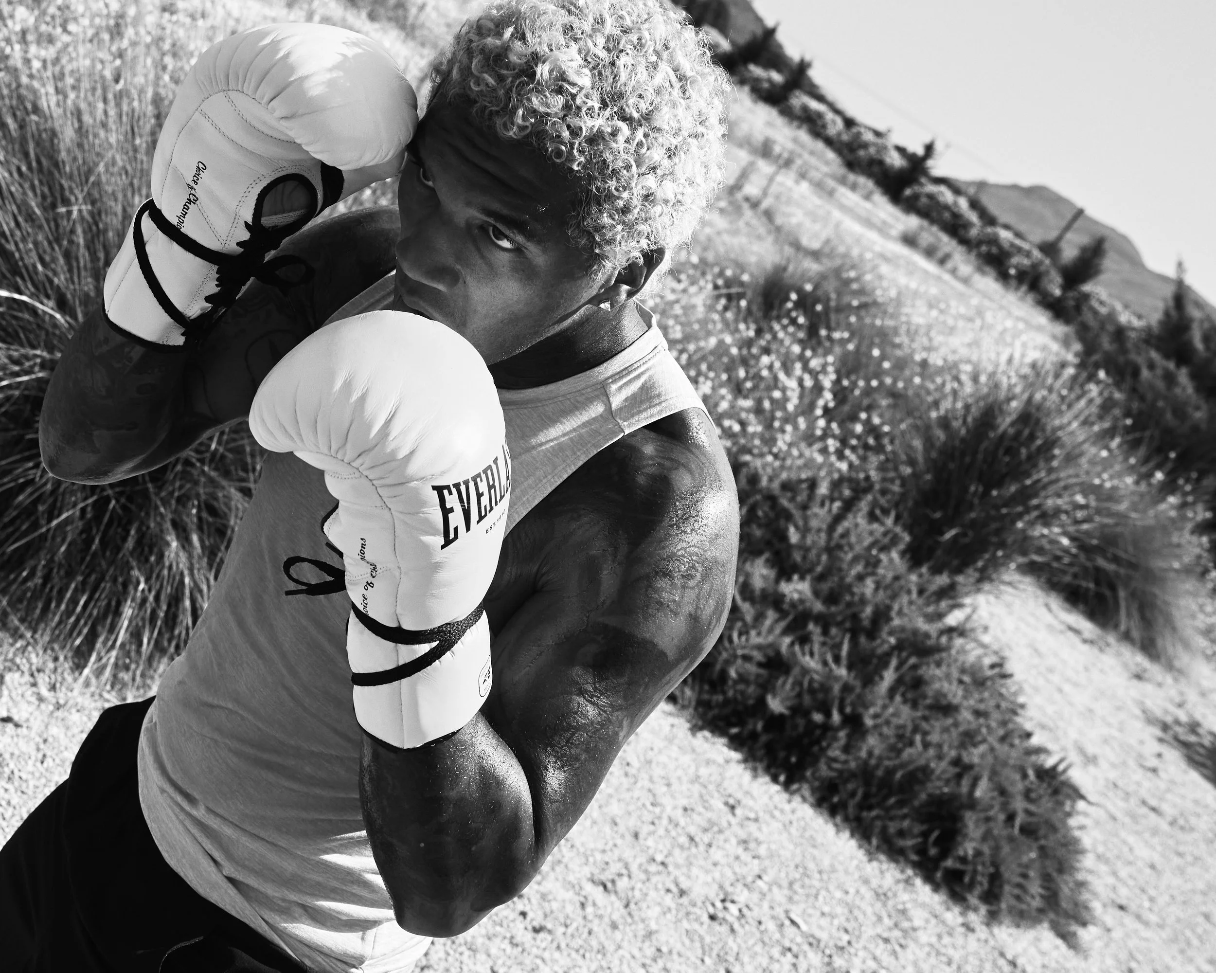 20260620_Everlast_TD_CB_LB_578.jpg