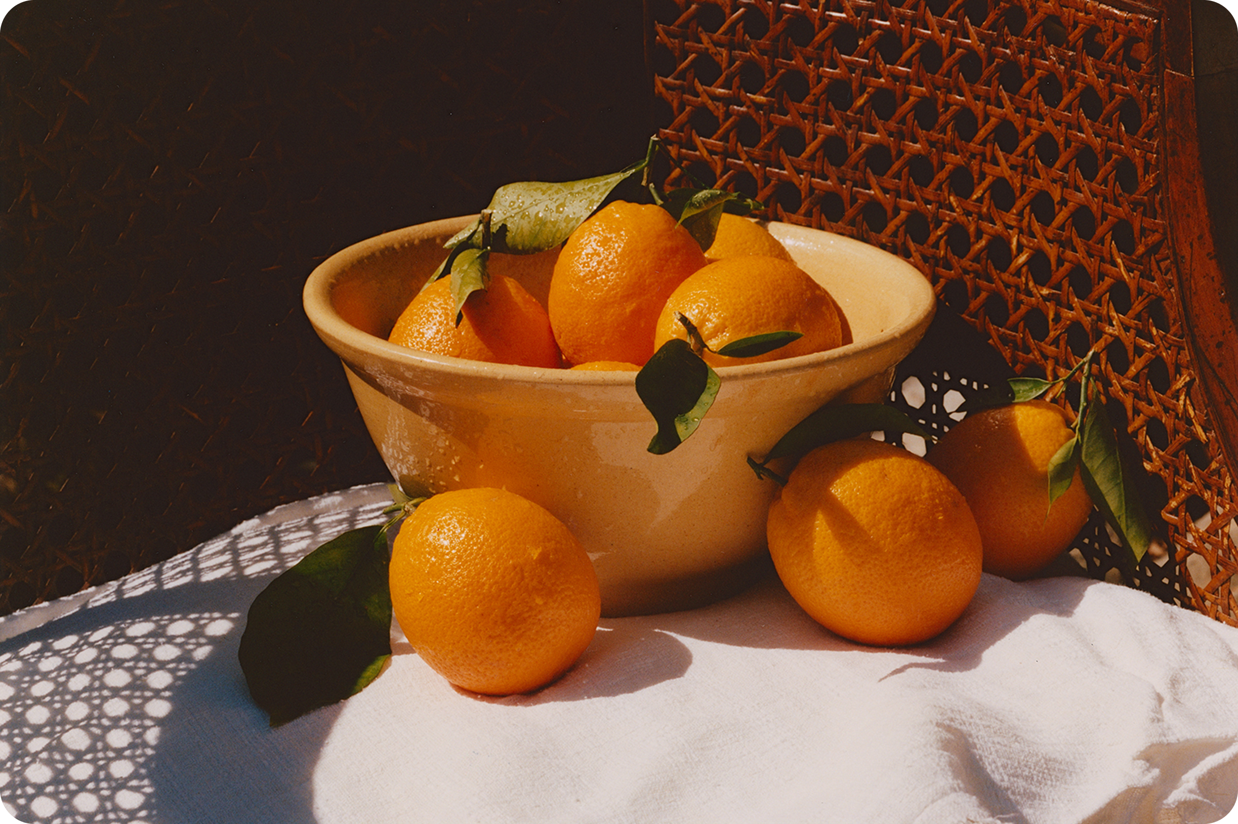 MARMALADE GROVE: Film product photography by Peter Nikolai. Lifestyle set composition by Mia James