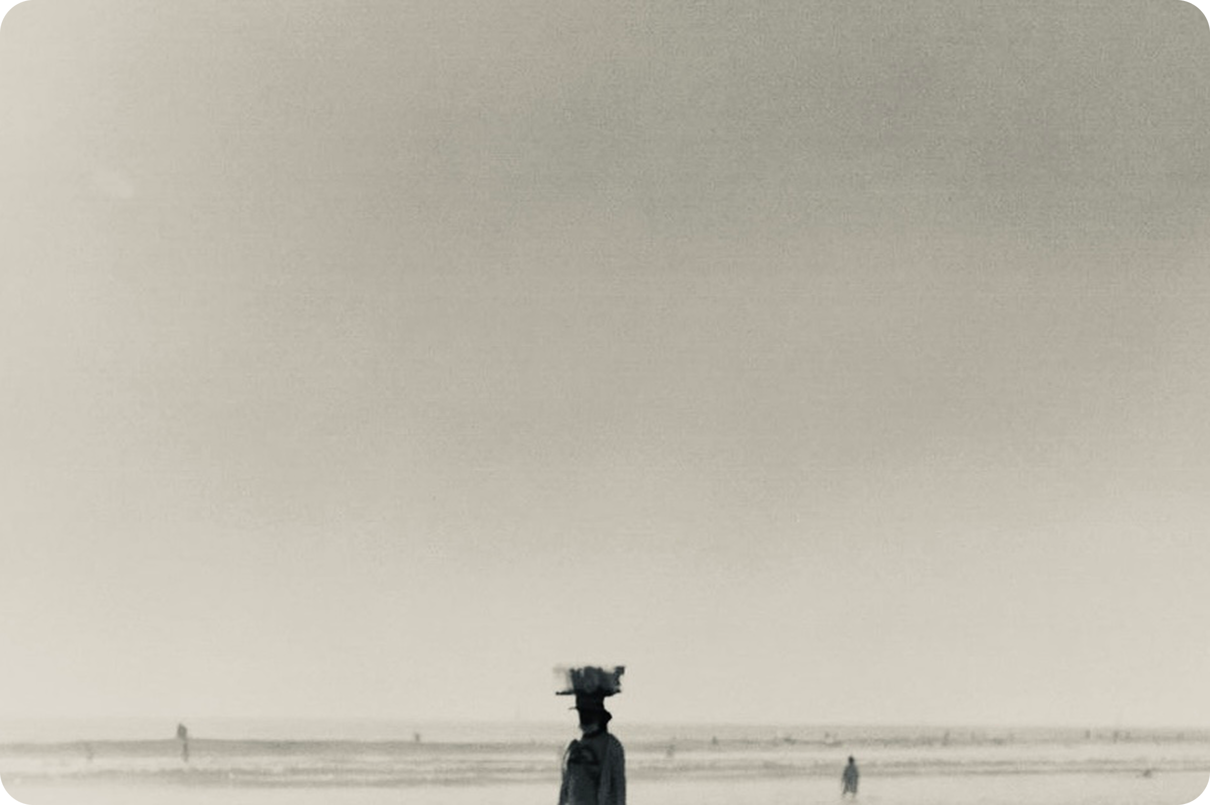 PACIFIC PALISADES: Coastal landscapes. Film photography by Mia James.