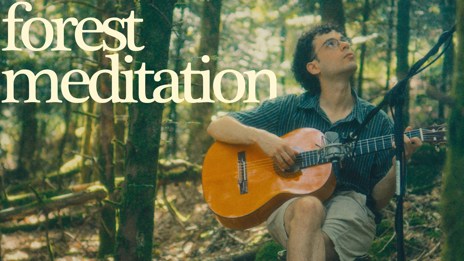 A young man with curly hair and glasses playing an acoustic guitar in a forest, sitting on the ground surrounded by trees and natural foliage, with the words 'forest meditation' overlaid.