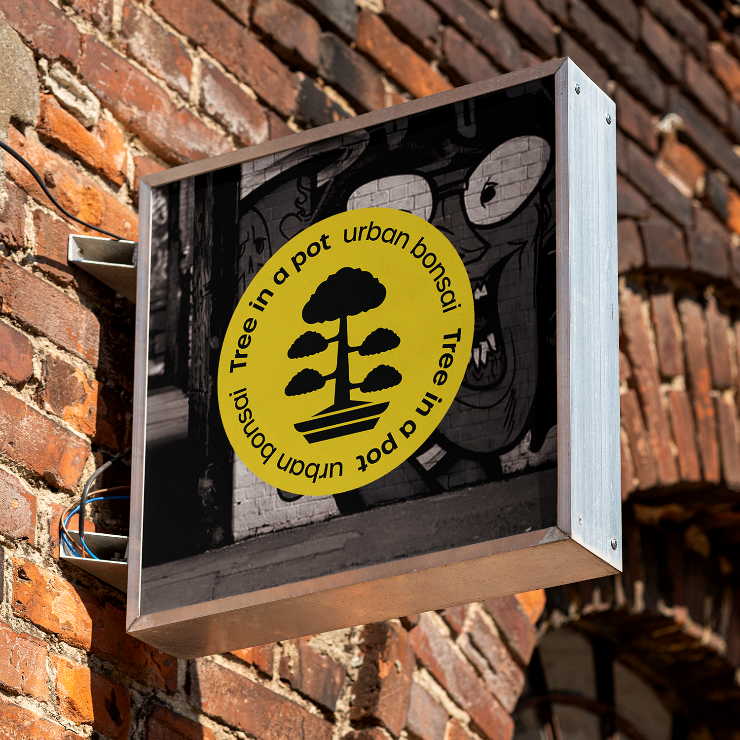 Tree in a Pot: Urban Bonsai