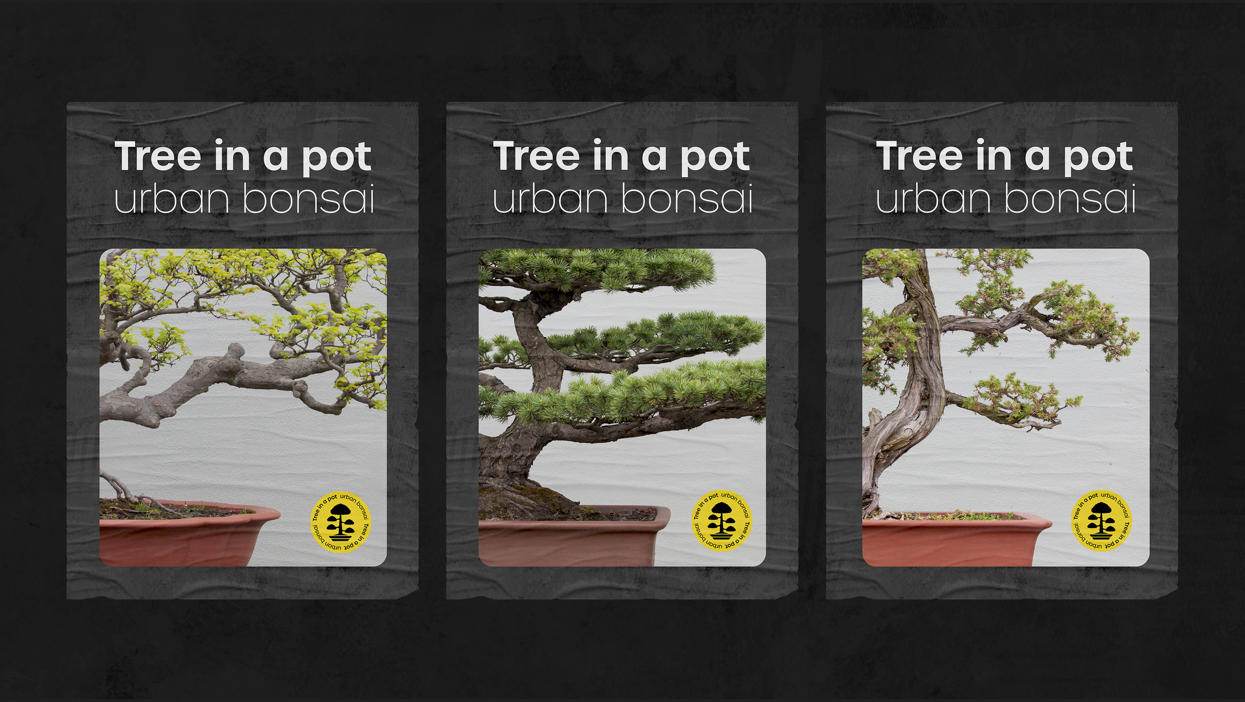 TIP posters 2.png
