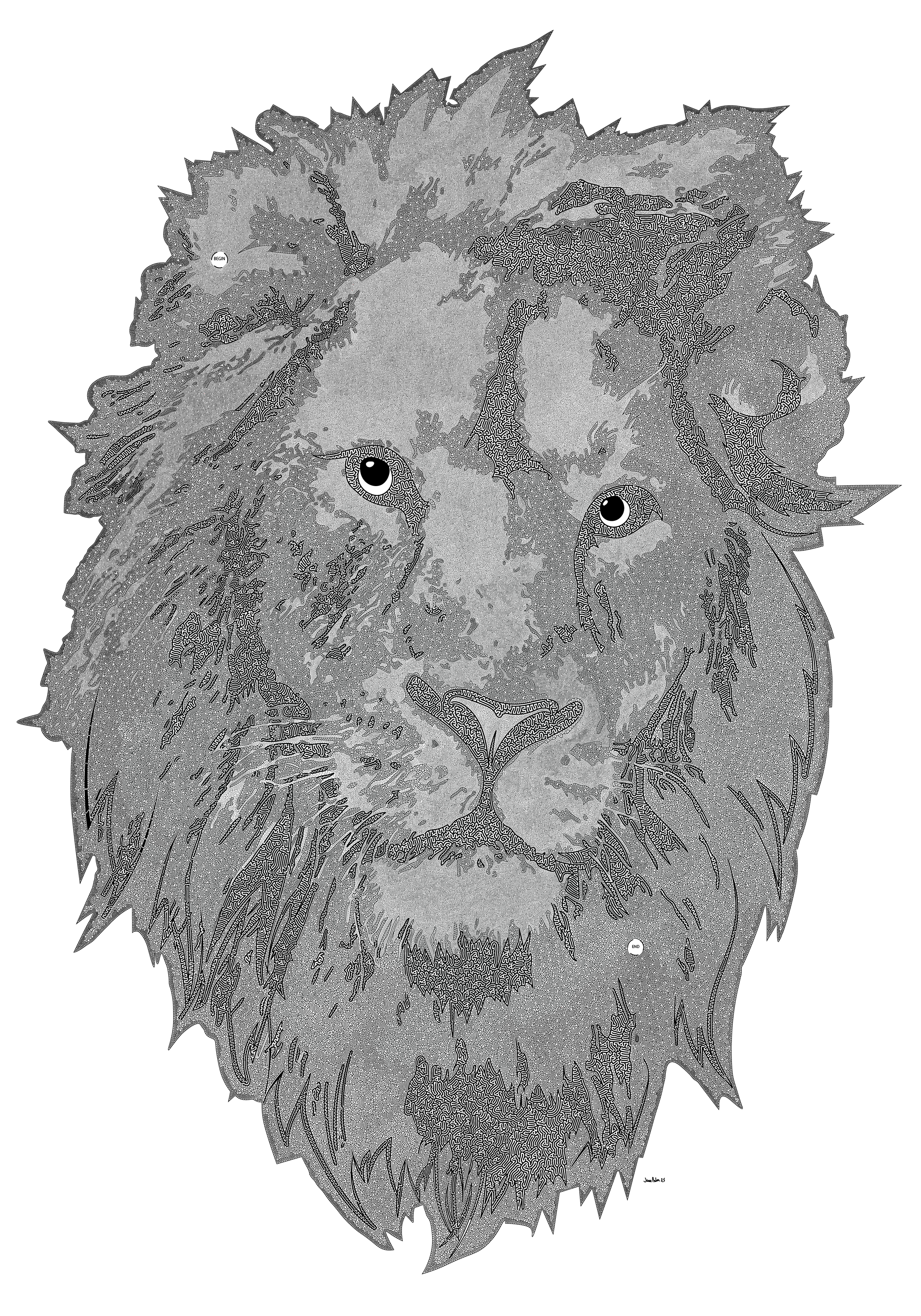 Lion Head Sketch Maze