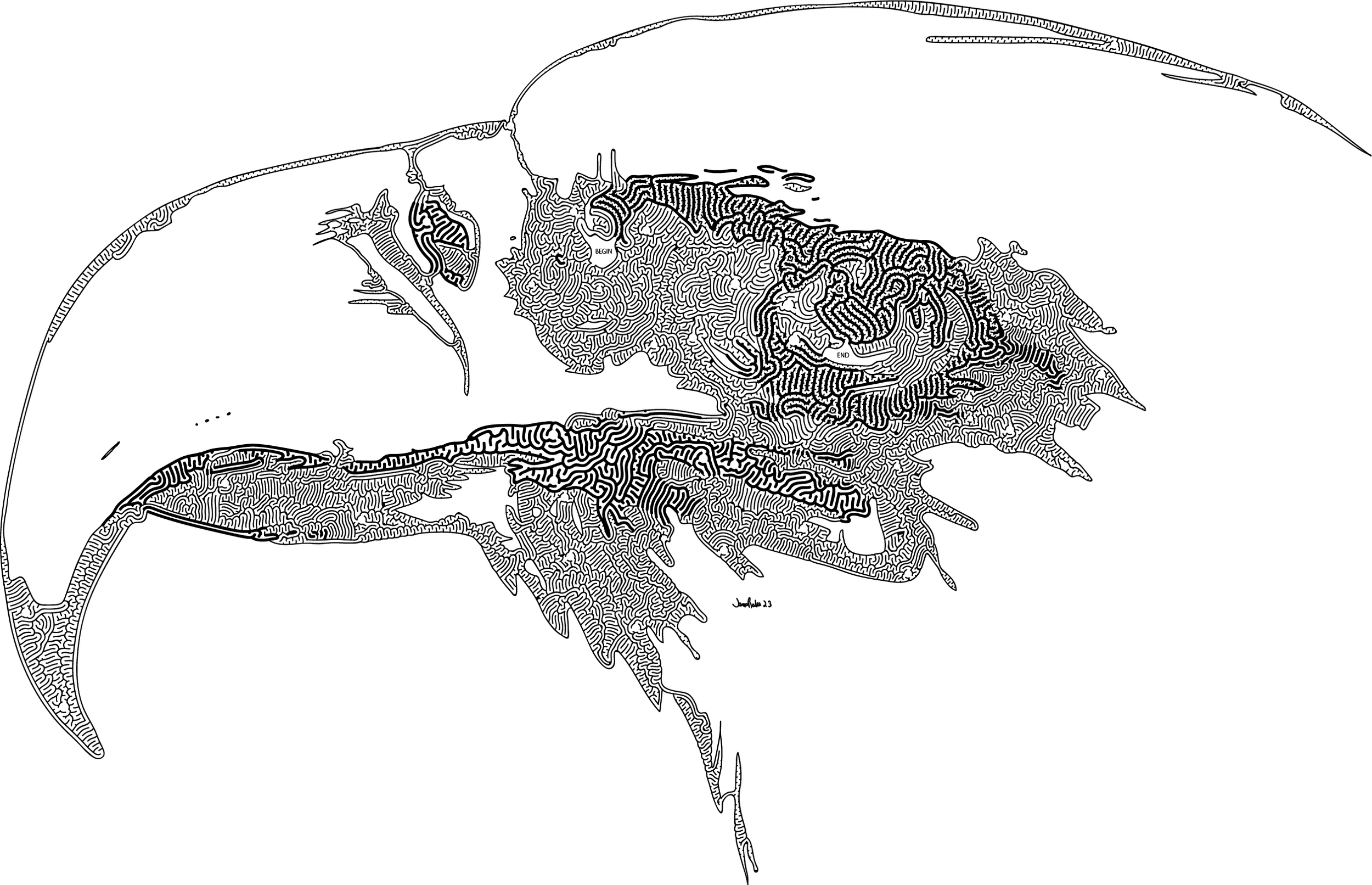 Bald Eagle Head SketchMaze
