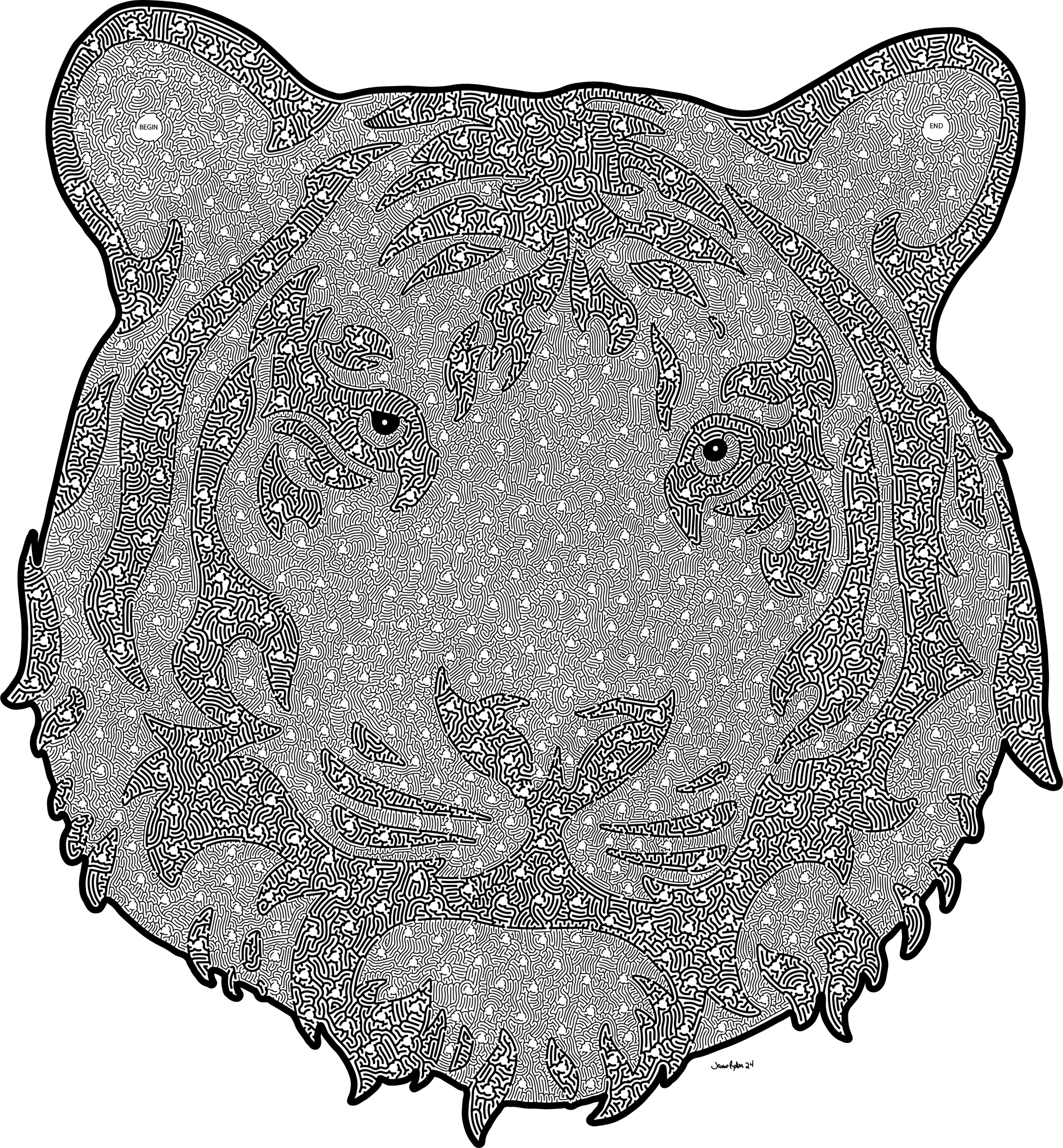 Tiger Head SketchMaze