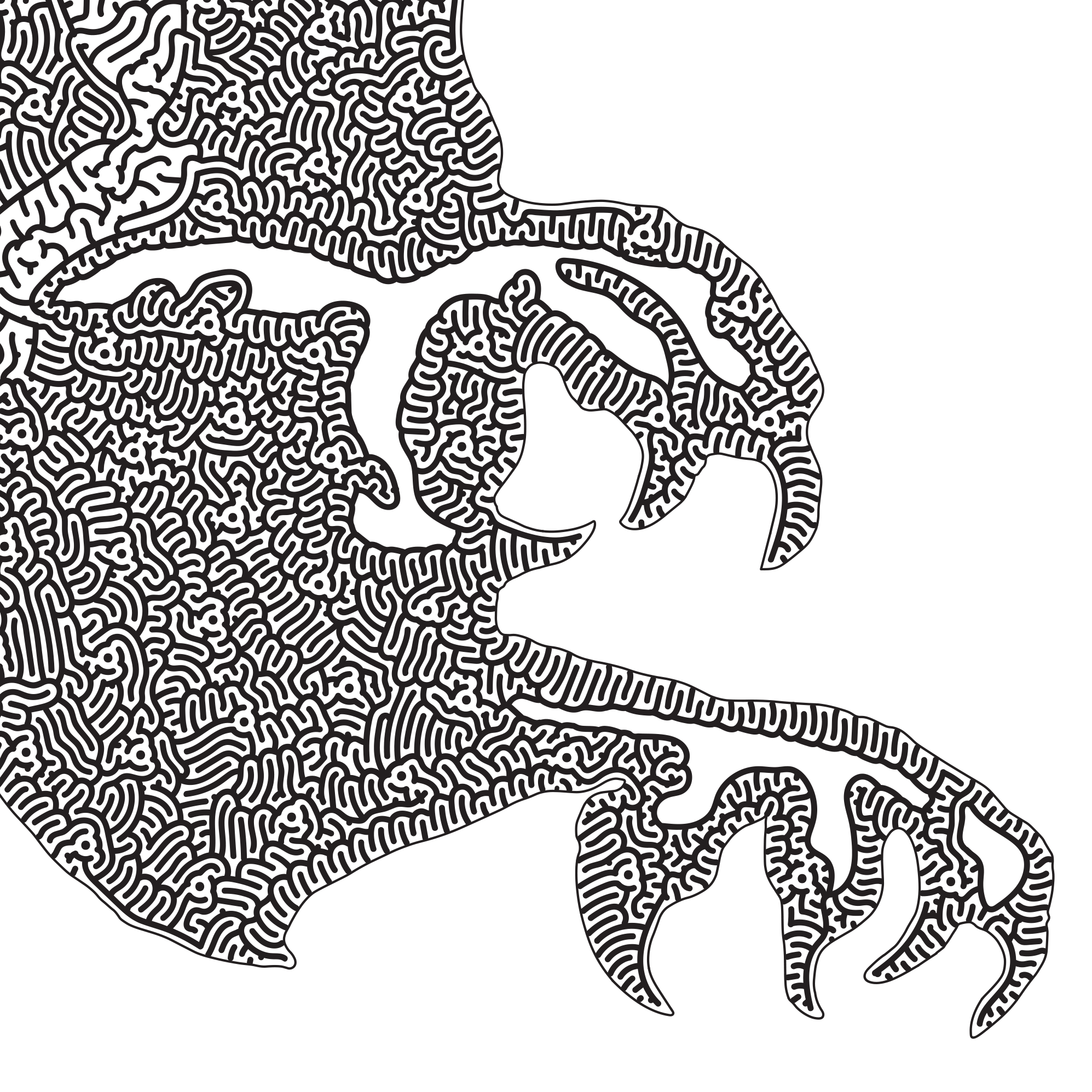 Bald Eagle Flying 2 SketchMaze Talons Close Up