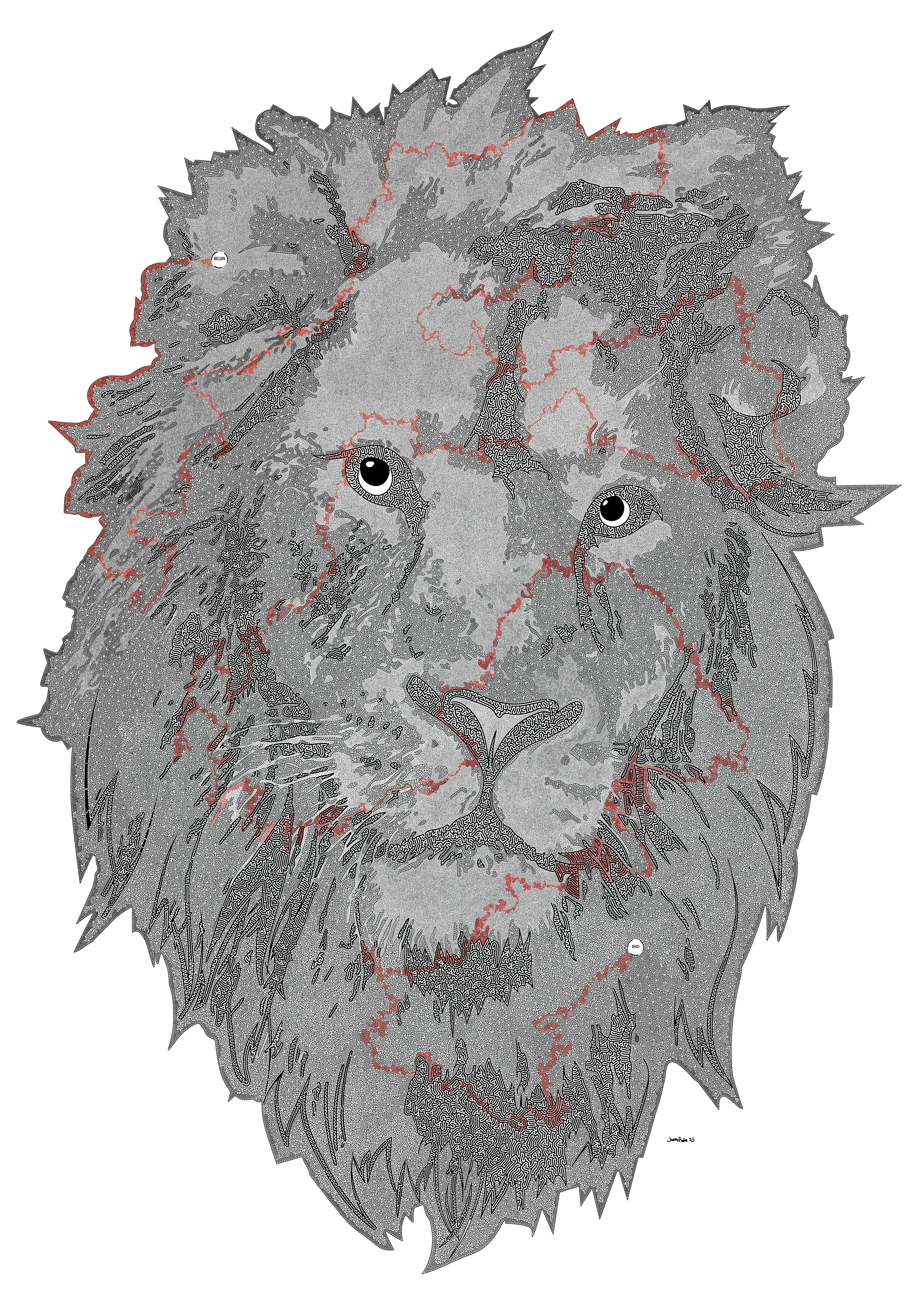 Lion Head SketchMaze Answer
