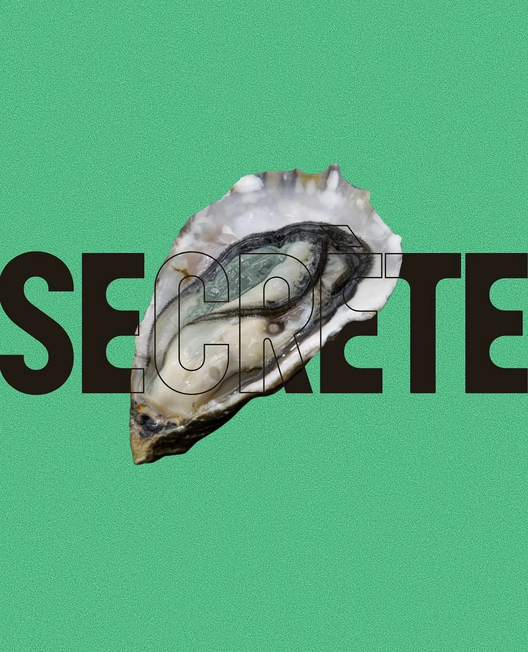 Plongez dans le myst&egrave;re de la Secr&egrave;te !

🦪 Une hu&icirc;tre rare &agrave; la chair g&eacute;n&eacute;reuse et &agrave; la couleur vert d&rsquo;eau unique

💙 Son secret ? La myst&eacute;rieuse navicule bleue, une micro-algue qui teinte