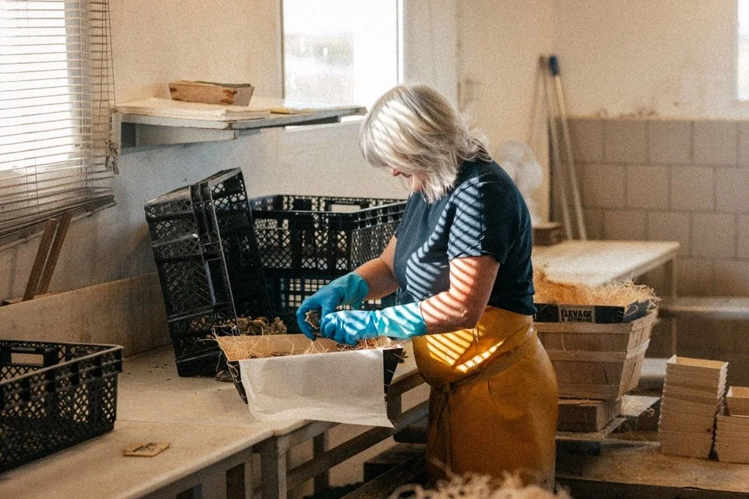 Un geste ancestral transmis avec soin depuis 1939 !

Nos hu&icirc;tres, soigneusement s&eacute;lectionn&eacute;es, sont d&eacute;licatement rassembl&eacute;es dans leur &eacute;crin de bois, pr&ecirc;tes &agrave; voyager jusqu&rsquo;&agrave; vos tabl
