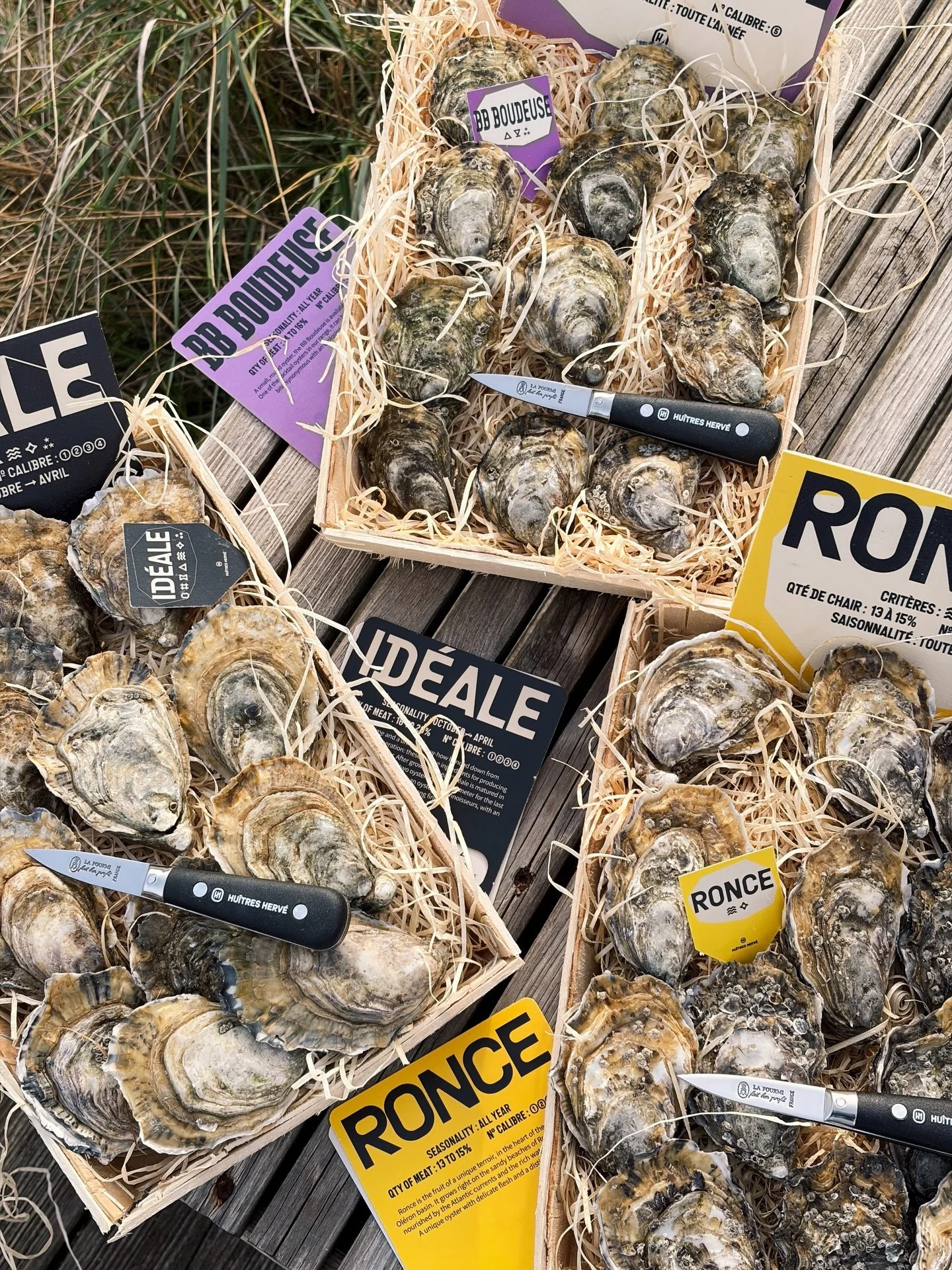 ✨ CONCOURS DE NO&Euml;L ✨

&Agrave; l&rsquo;approche des f&ecirc;tes, Hu&icirc;tres Herv&eacute; vous g&acirc;te !

Tentez de remporter l&rsquo;un des 3 lots d&rsquo;hu&icirc;tres pour sublimer vos repas de fin d&rsquo;ann&eacute;e :

💜 1 douzaine d