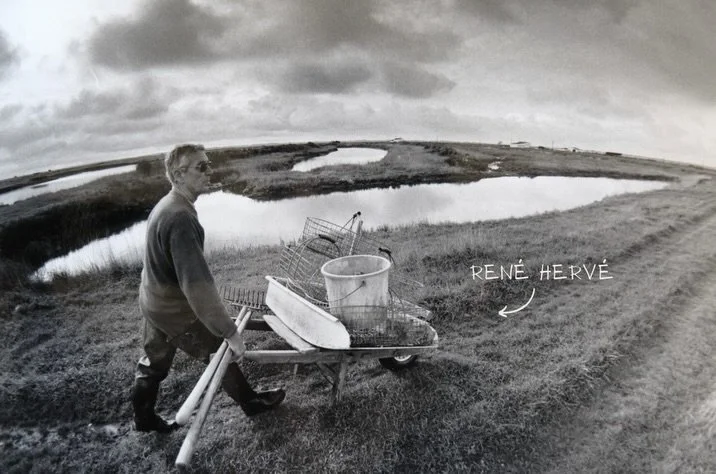 Une histoire de famille

87 ans d&rsquo;histoire, 4 g&eacute;n&eacute;rations, un h&eacute;ritage &agrave; partager 🦪

1. Ren&eacute; Herv&eacute;, apr&egrave;s une journ&eacute;e &agrave; p&ecirc;cher des pousses en claires
2. Le Natsylchris, un de