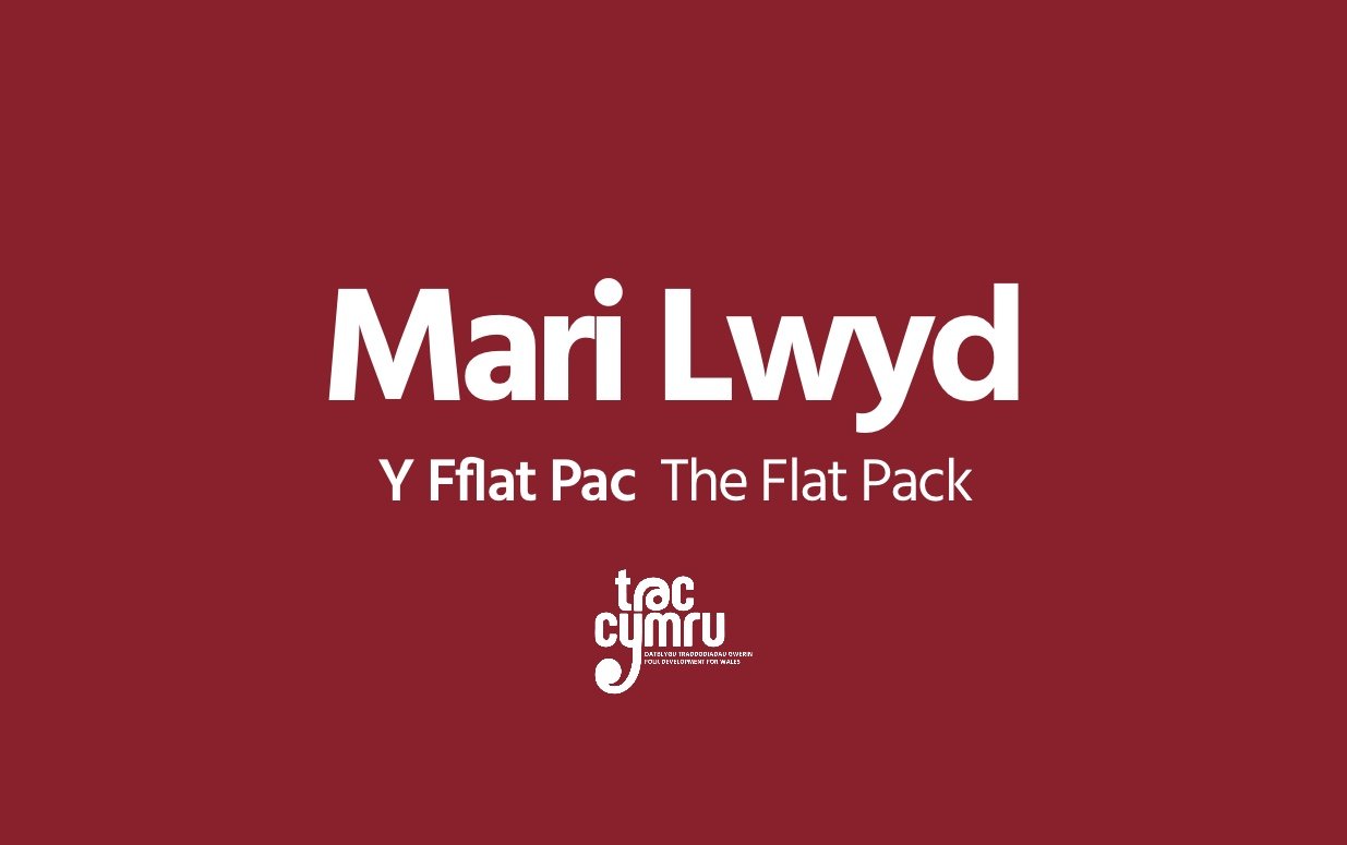 The First Flat Pack Mari Lwyd